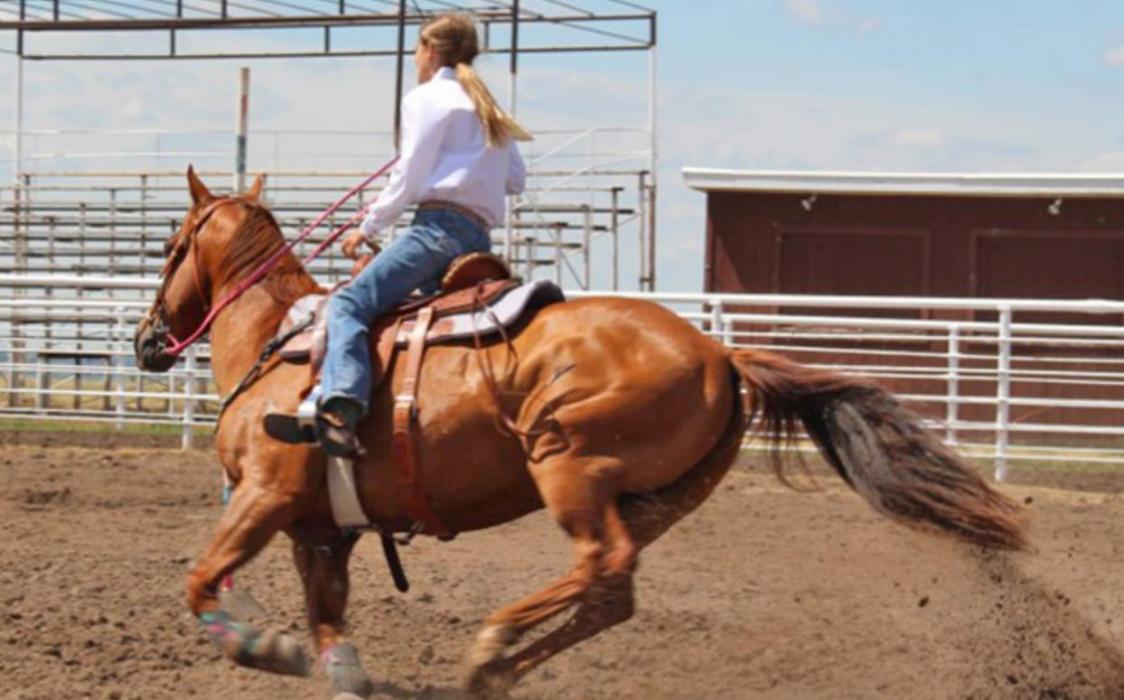 4 H Horse Show Was Held Tuesday. Gregory Times Advocate