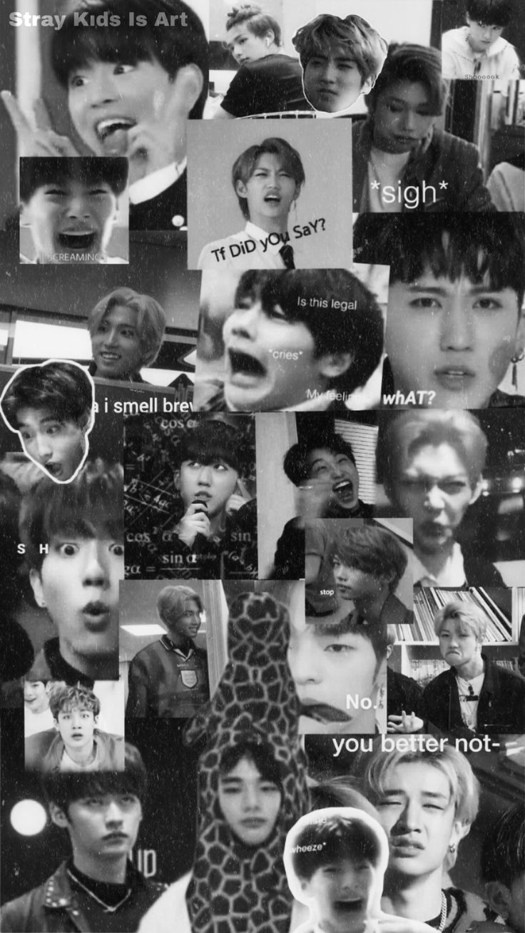 Stray kids wallpaper meme face