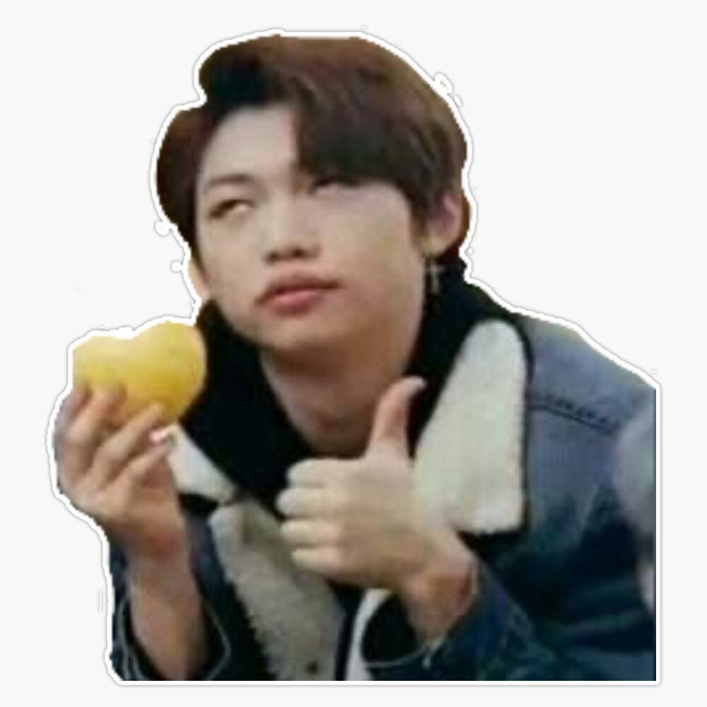 Stray Kids Felix Meme Sticker Outdoor Rated Vinyl Sticker Decal for Windows, Bumpers, Laptops or Crafts 5