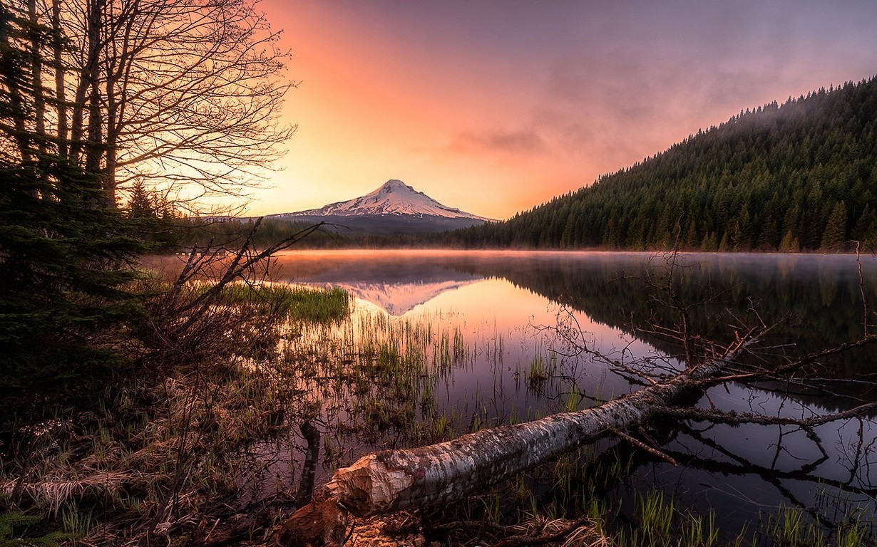 landscape, Nature, Lake, Mist, Forest, Mountain, Snowy Peak, Reflection, Water, Trees, Oregon, Sunrise, Calm Wallpaper HD / Desktop and Mobile Background