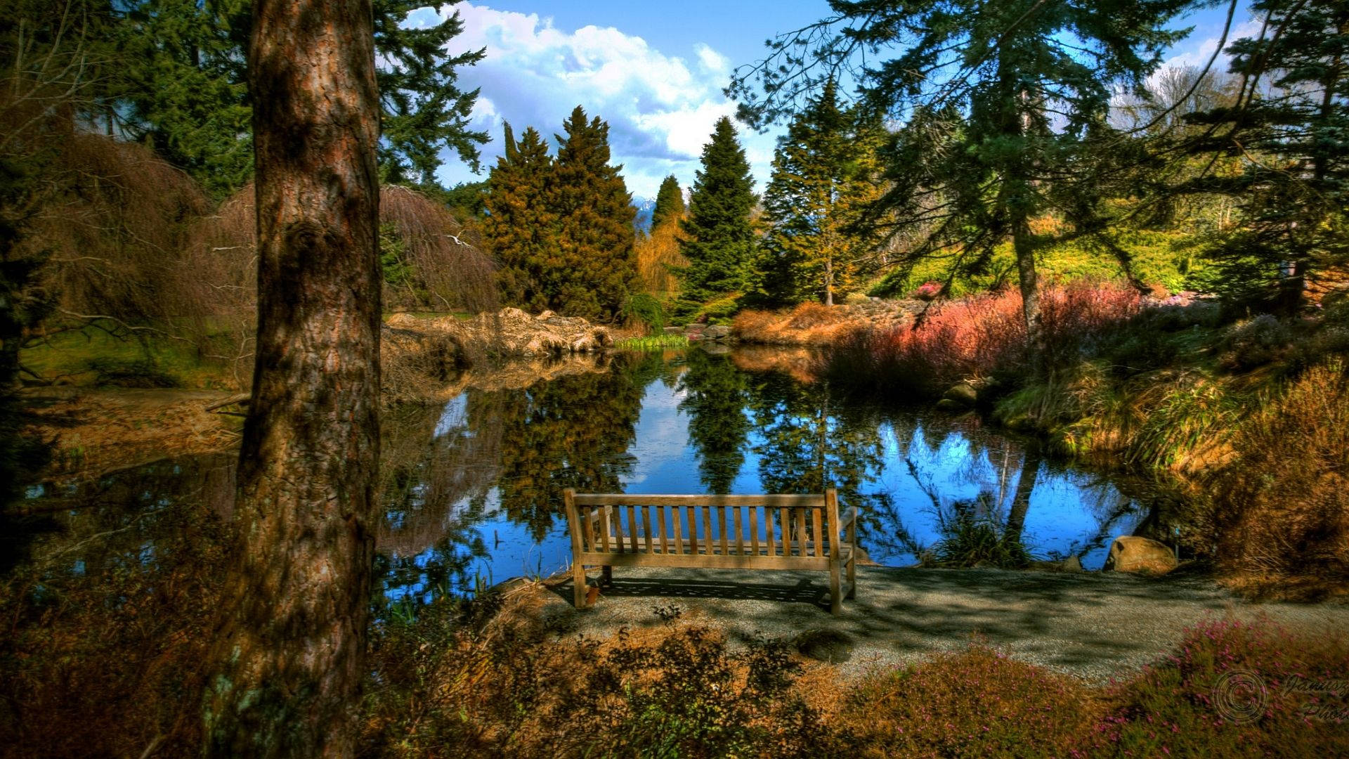 Download Relaxing Forest Bench Scenic Wallpaper
