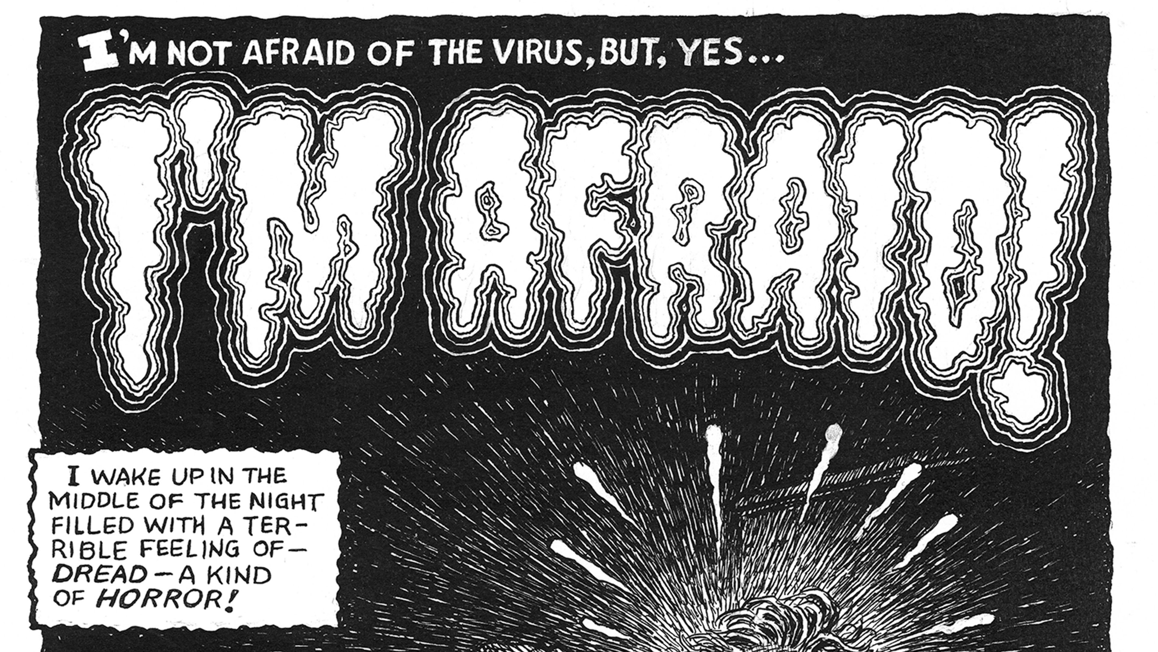 R. Crumb & Biography