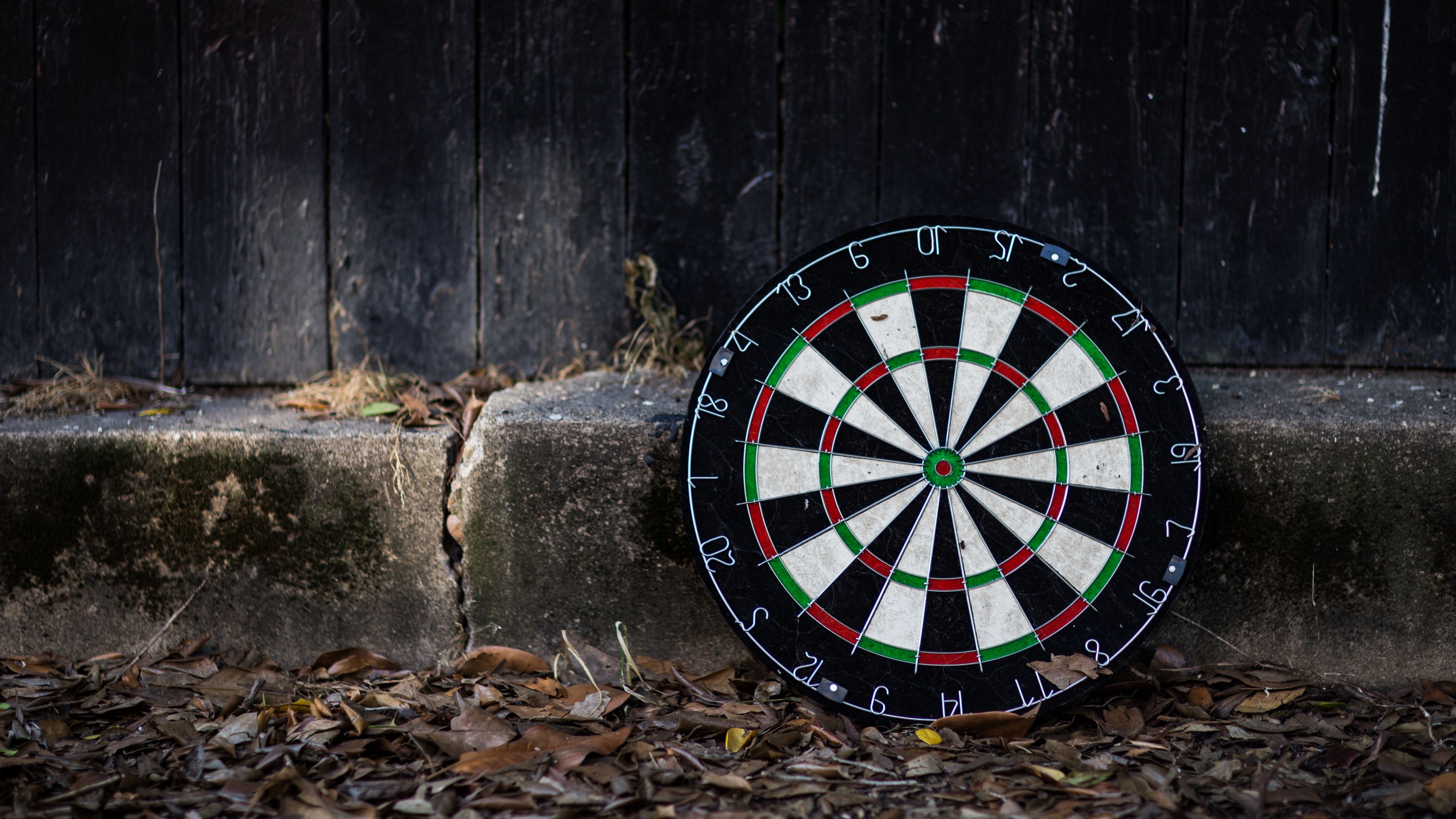 Download wallpaper 3840x2160 darts, board, leaves 4k uhd 16:9 HD background