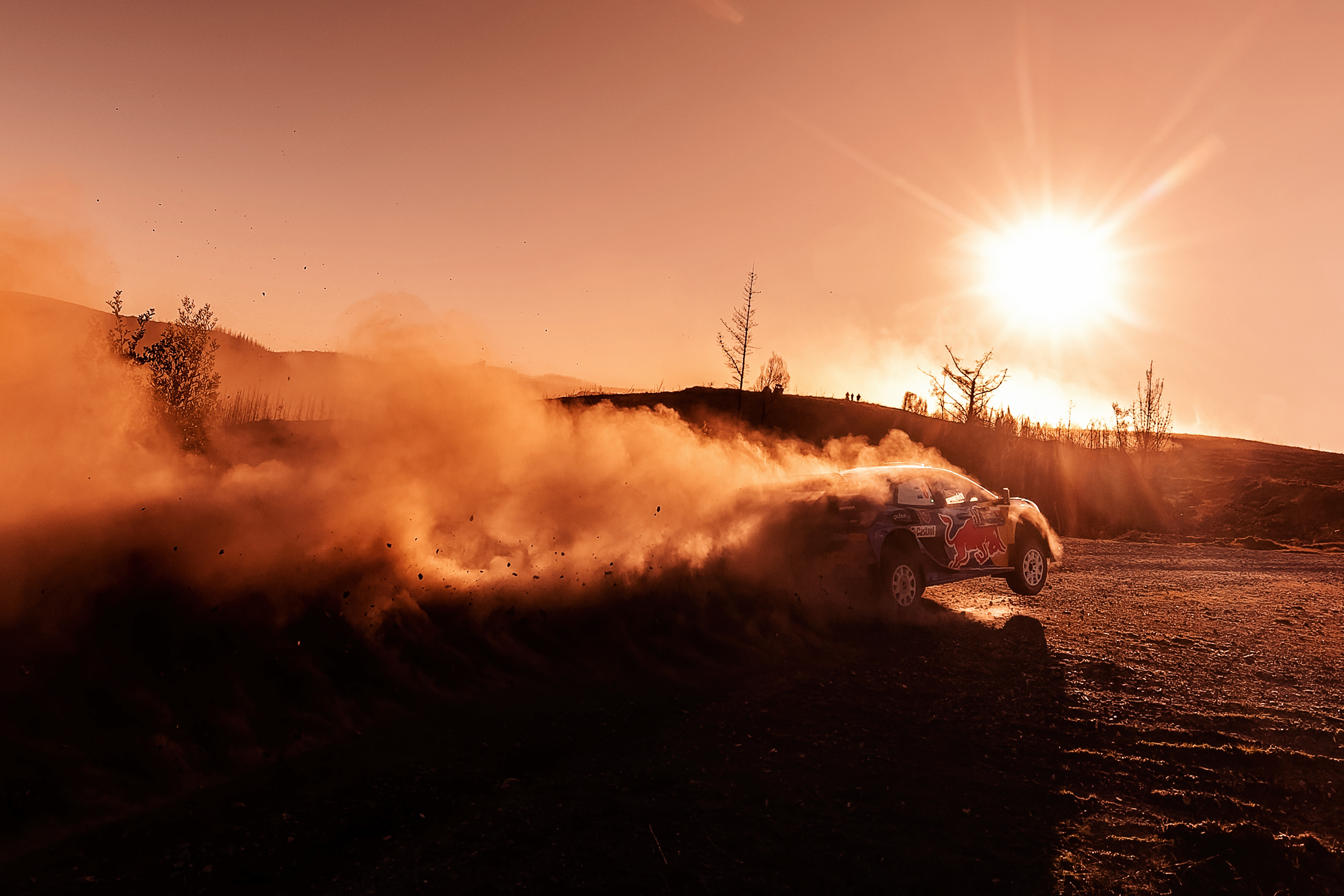 Rallyscapes the WRC offers that nothing else does