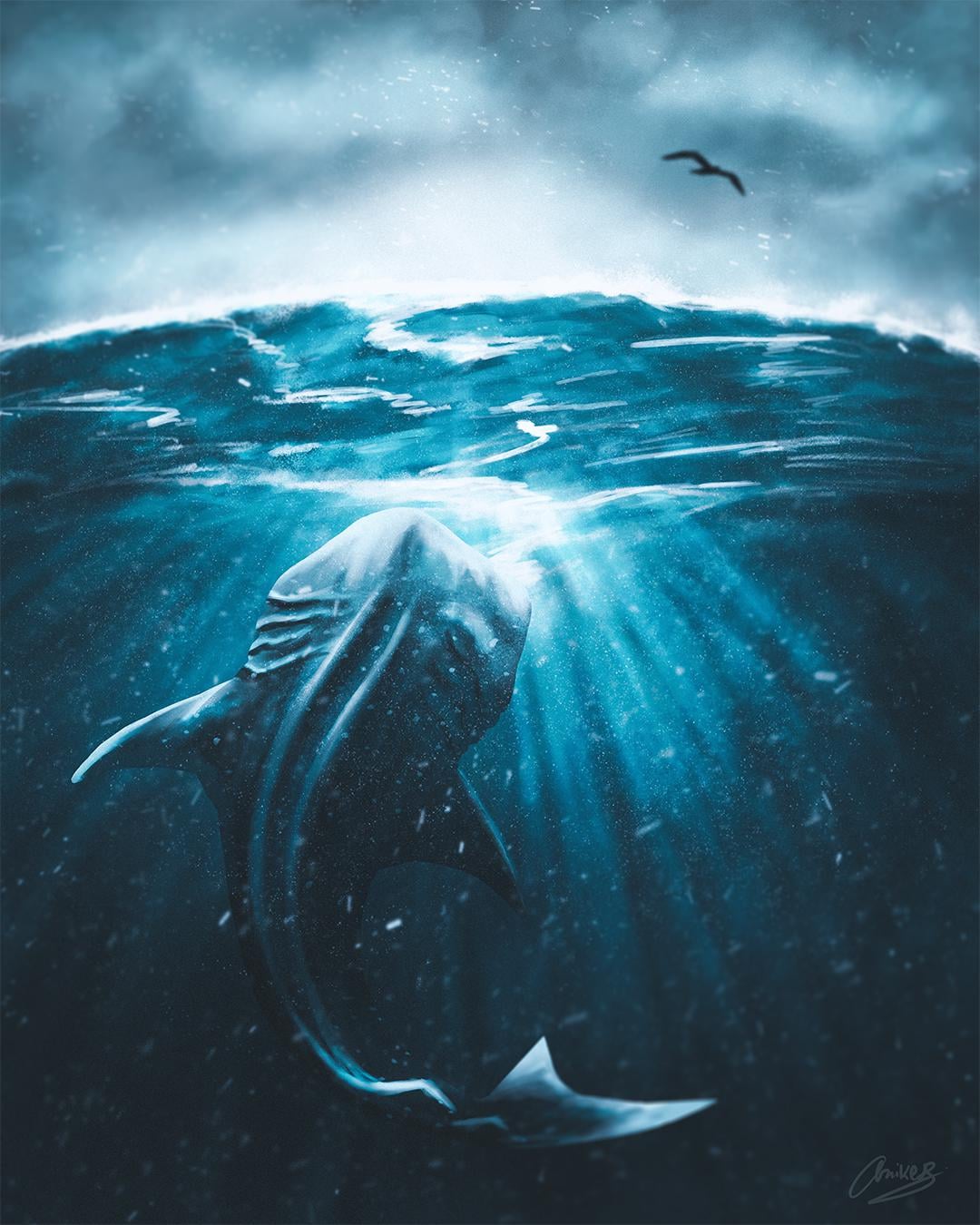 World Whale Shark Day