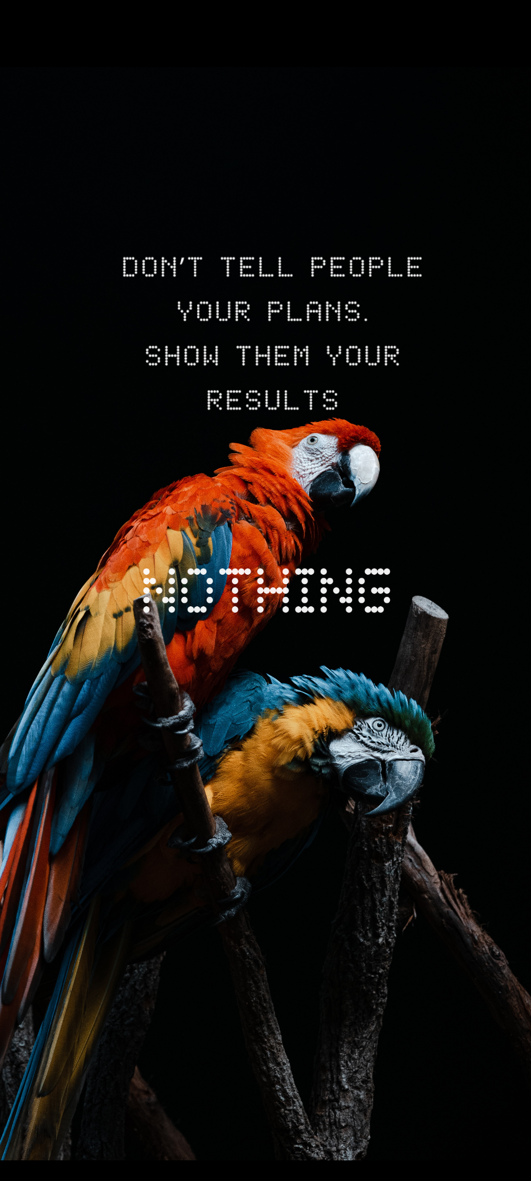 My Nothing Phone 1 wallpaper and homescreen. It also matches pretty well with my Amazfit GTS 3 :)