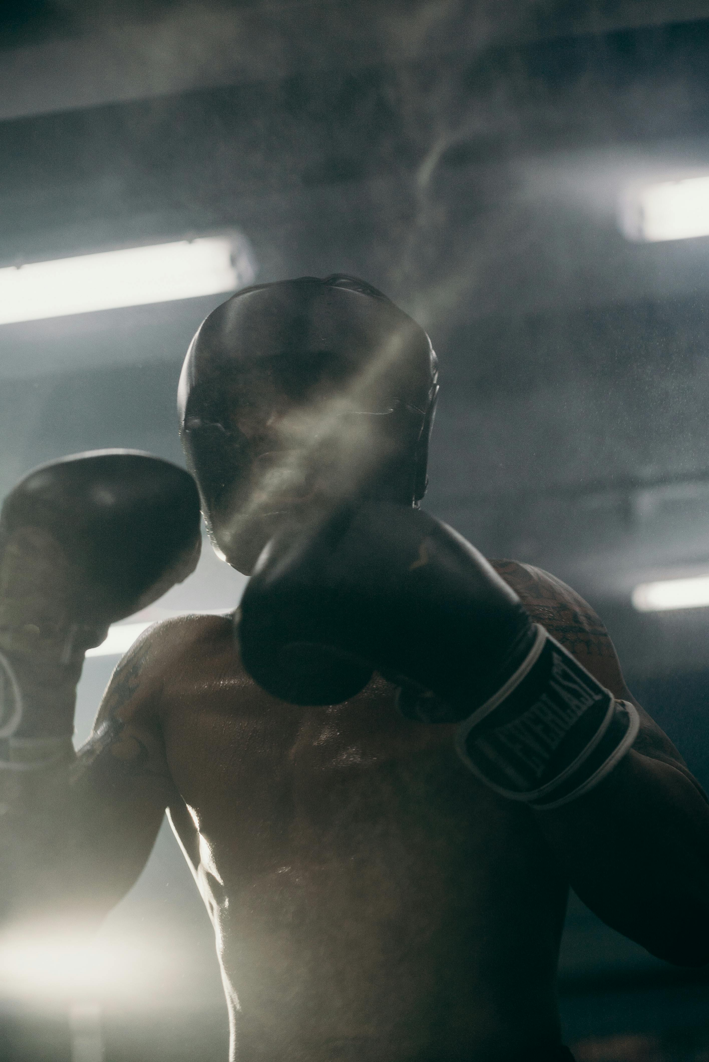 Boxer Photo, Download The BEST Free Boxer & HD Image