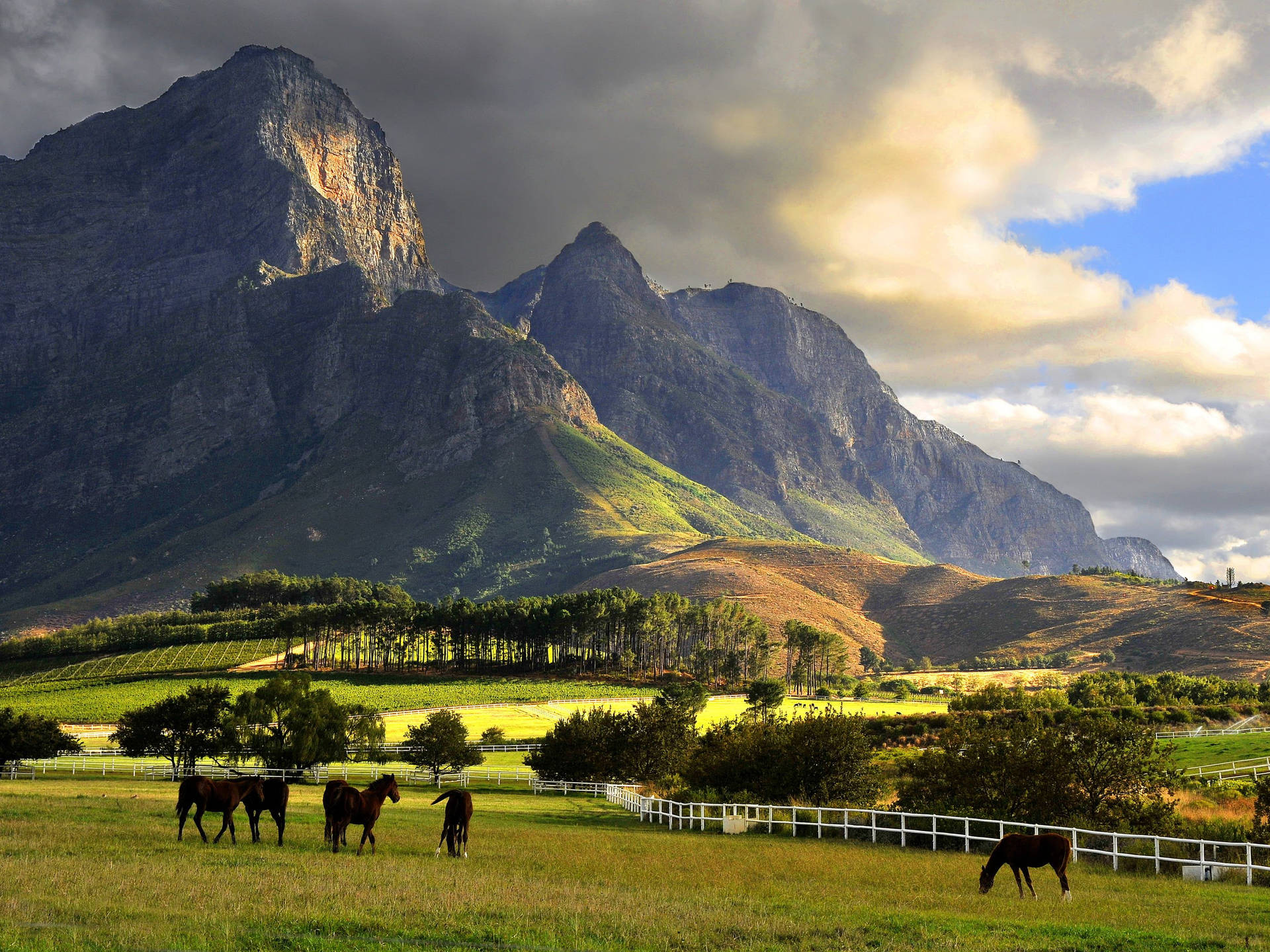 South Africa Background