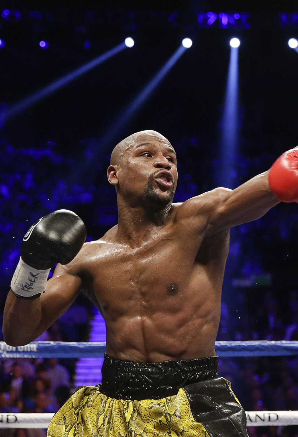 Boxing Wallpaper for iPhone 11, Pro Max, X, 8, 7, 6