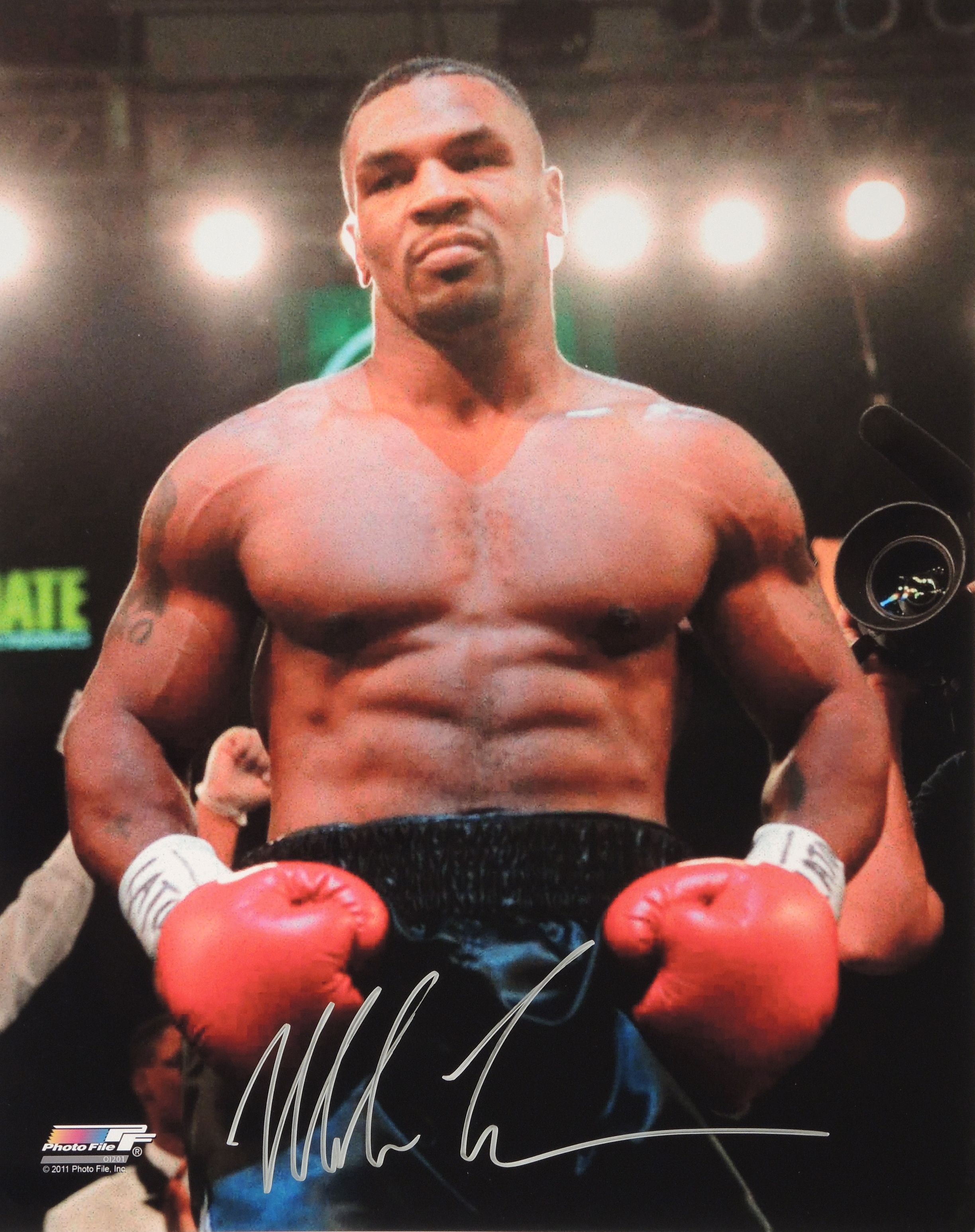 Famous boxer Mike tyson in the ring wallpaper and image