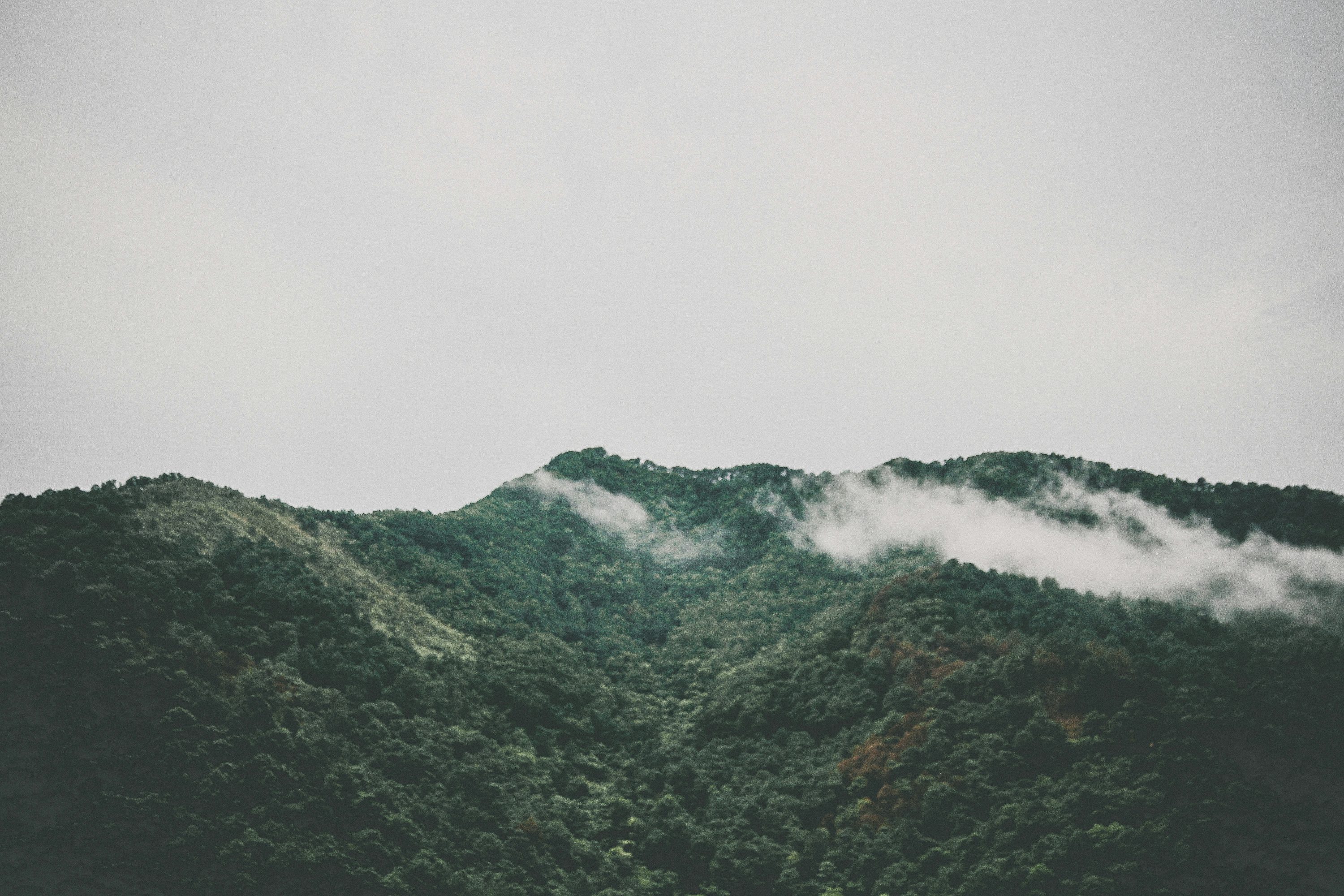 Minimal Nature Picture. Download Free Image