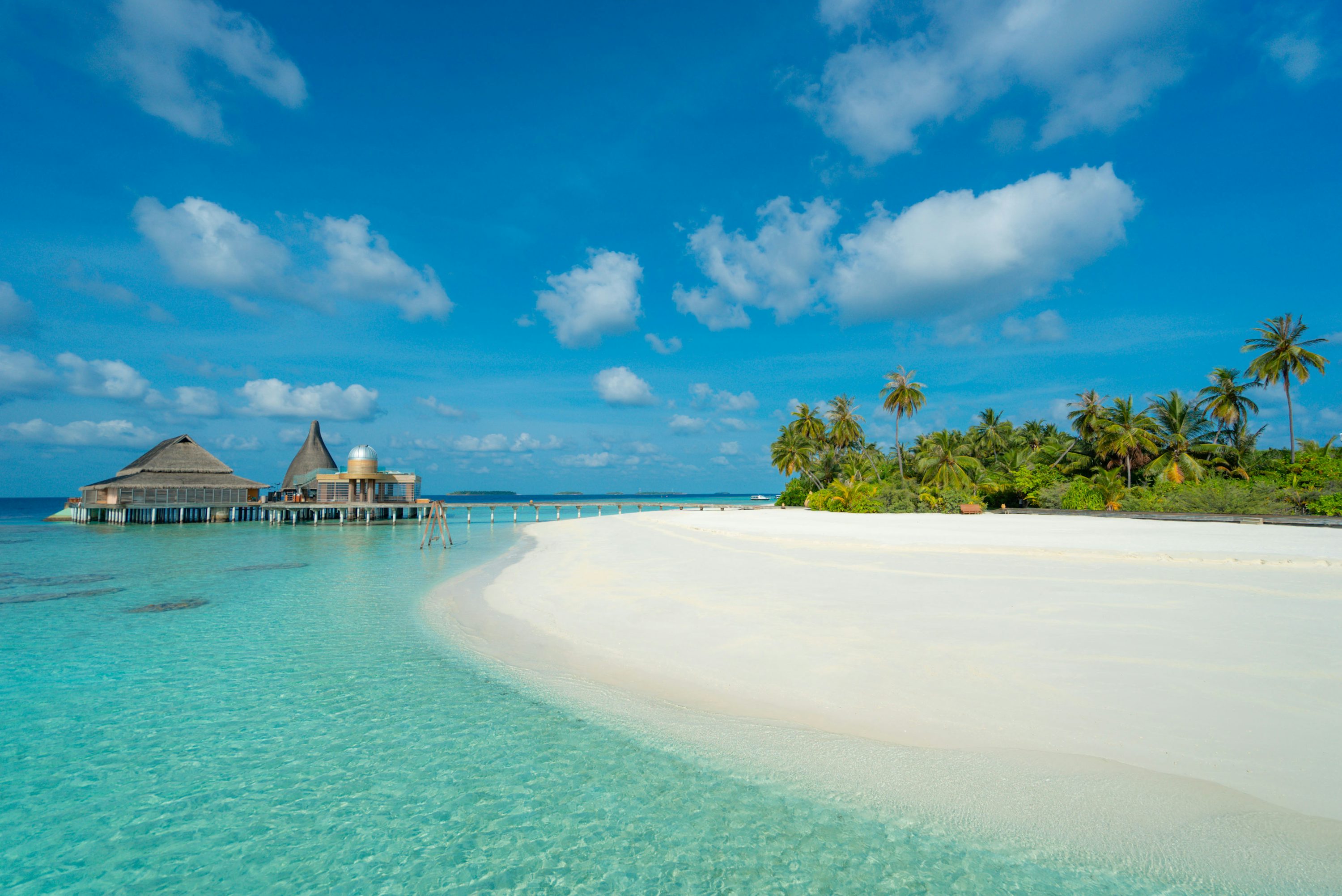 Maldives Beach Picture. Download Free Image