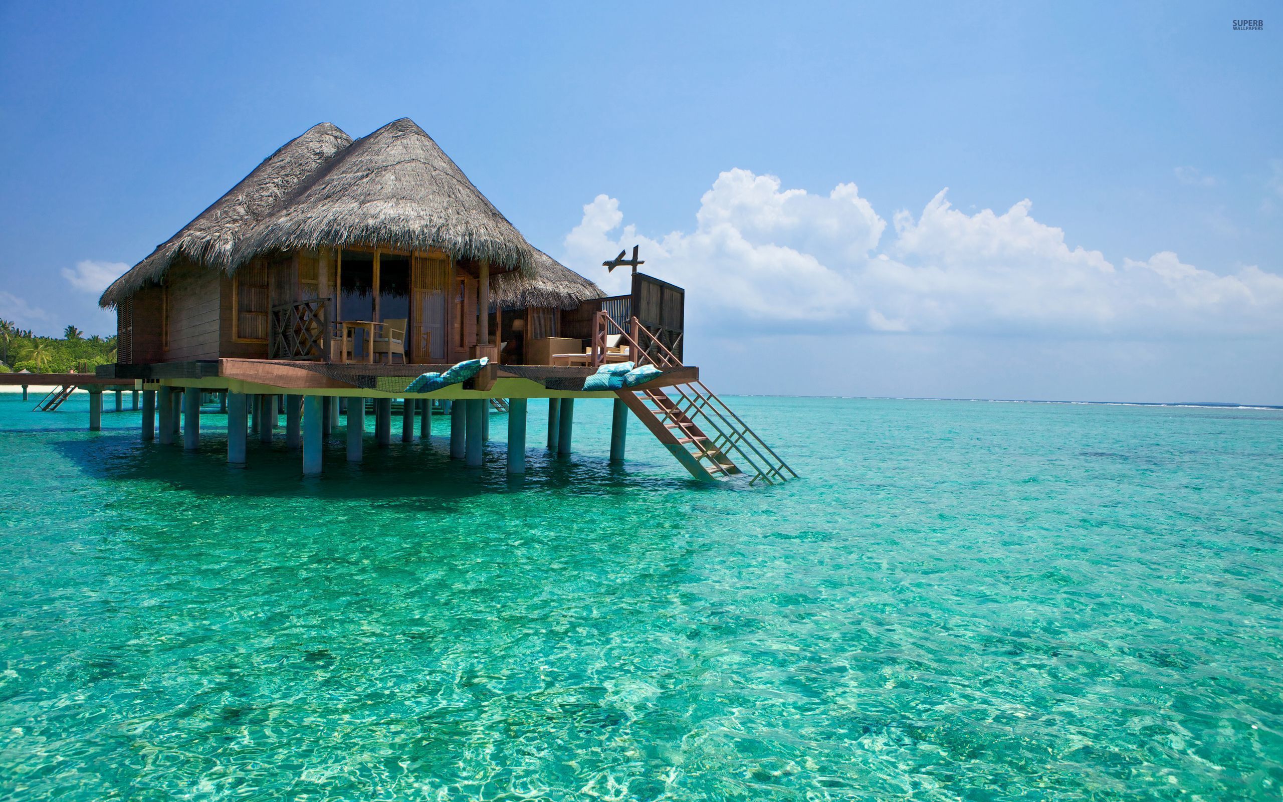 Wallpaper water, the ocean, transparent, exotic, Bungalow, Maldives for mobile and desktop, section пейзажи, resolution 2560x1600