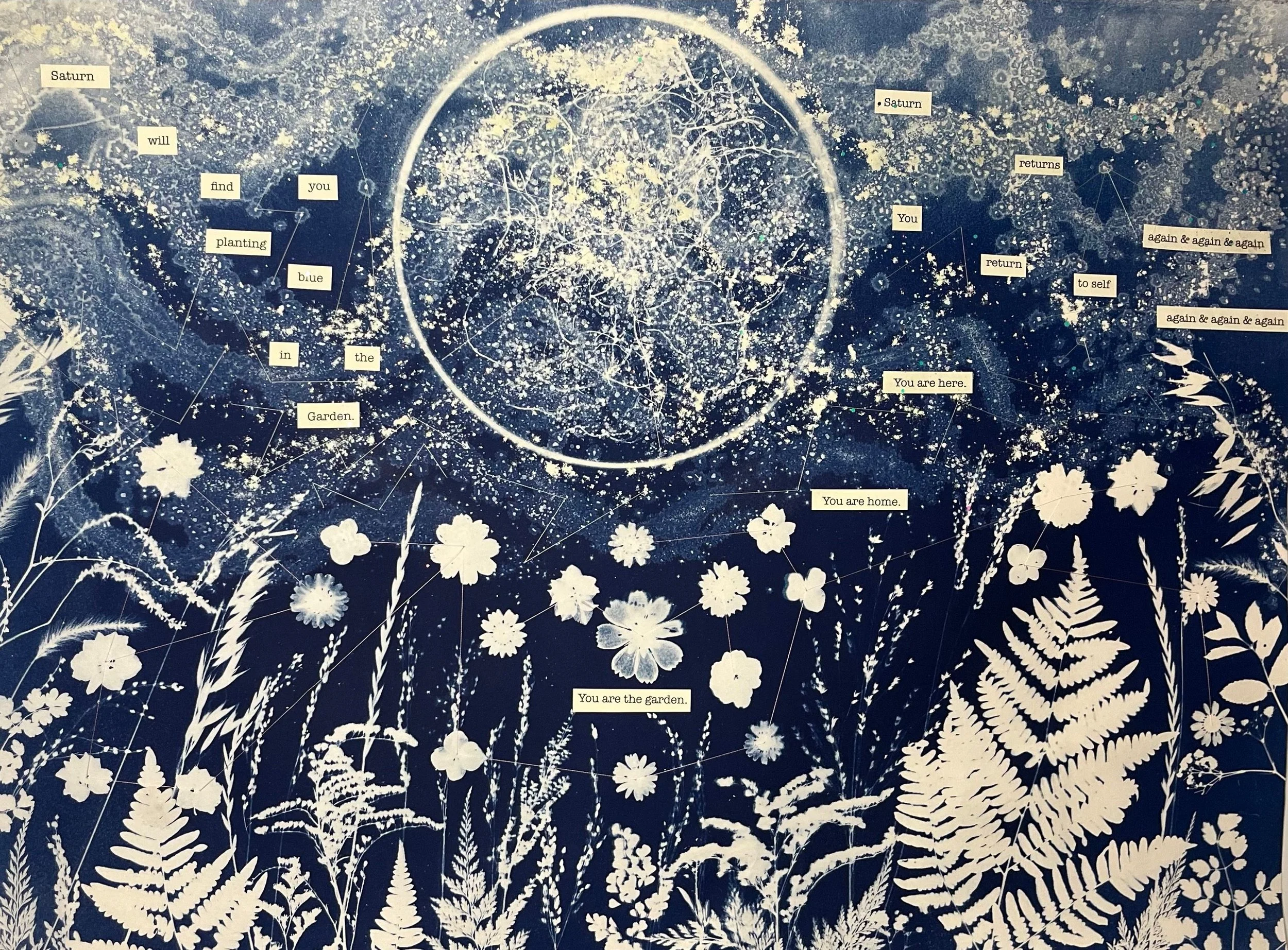 Garden as Body (Solo Show 2025)