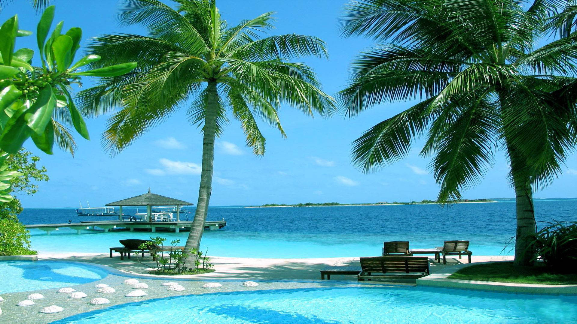 Download Maldives Paradise Beach Wallpaper