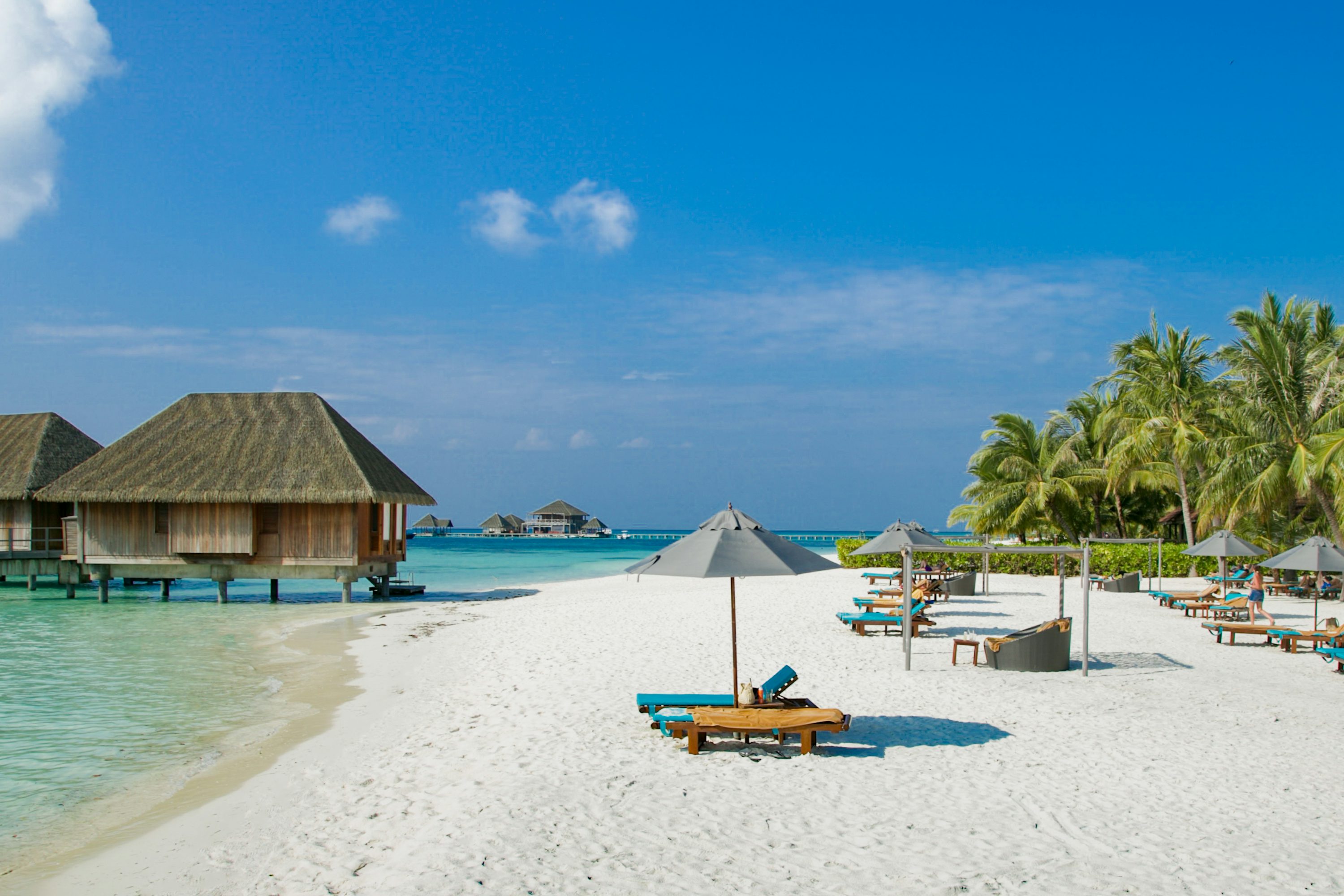 Maldives Beach Picture. Download Free Image