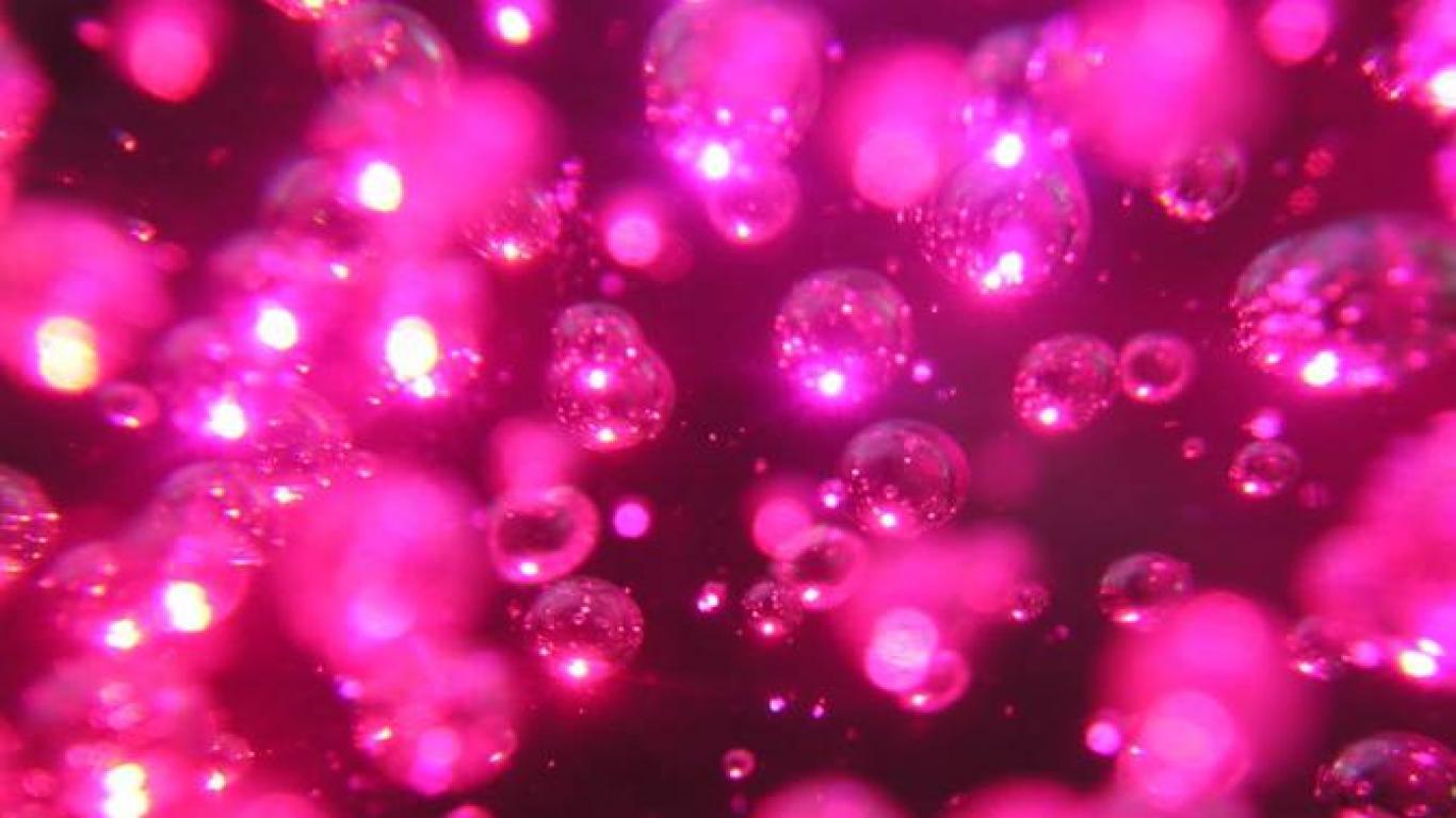 Hot Pink Desktop Wallpaper, HD Hot Pink Desktop Background on WallpaperBat