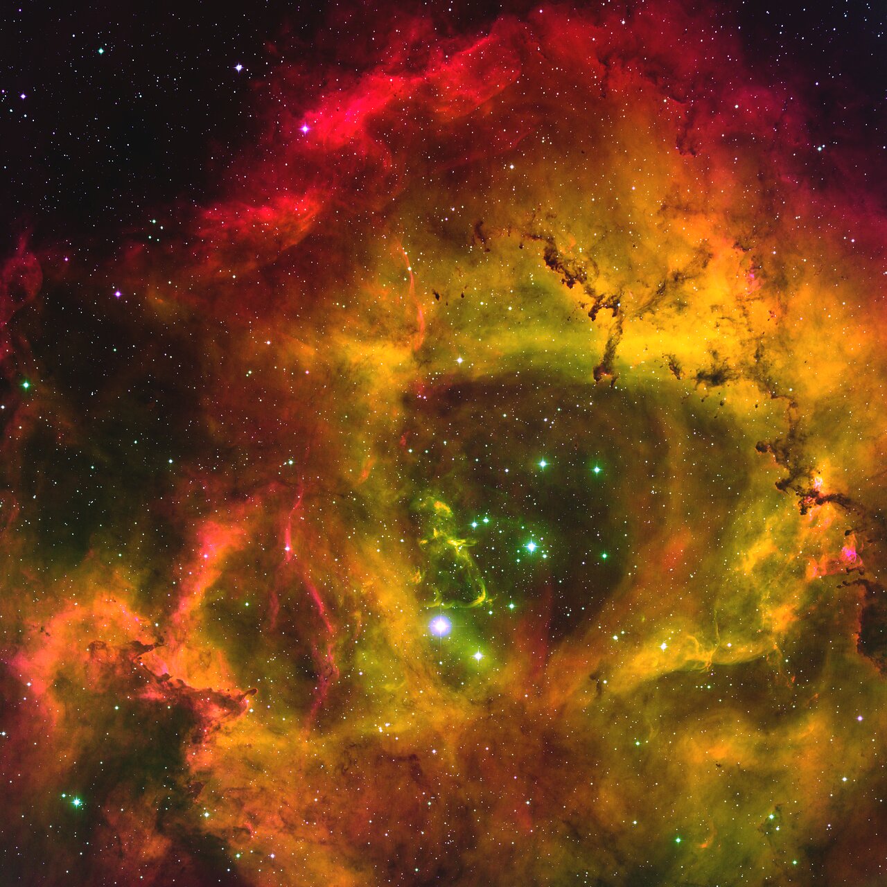 Fitful Young Star Sputters to Maturity in the Rosette Nebula