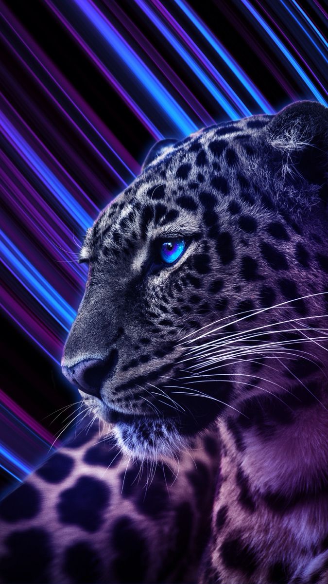 9:16 Phone. Wild animal wallpaper, Cheetah wallpaper, Big cats art