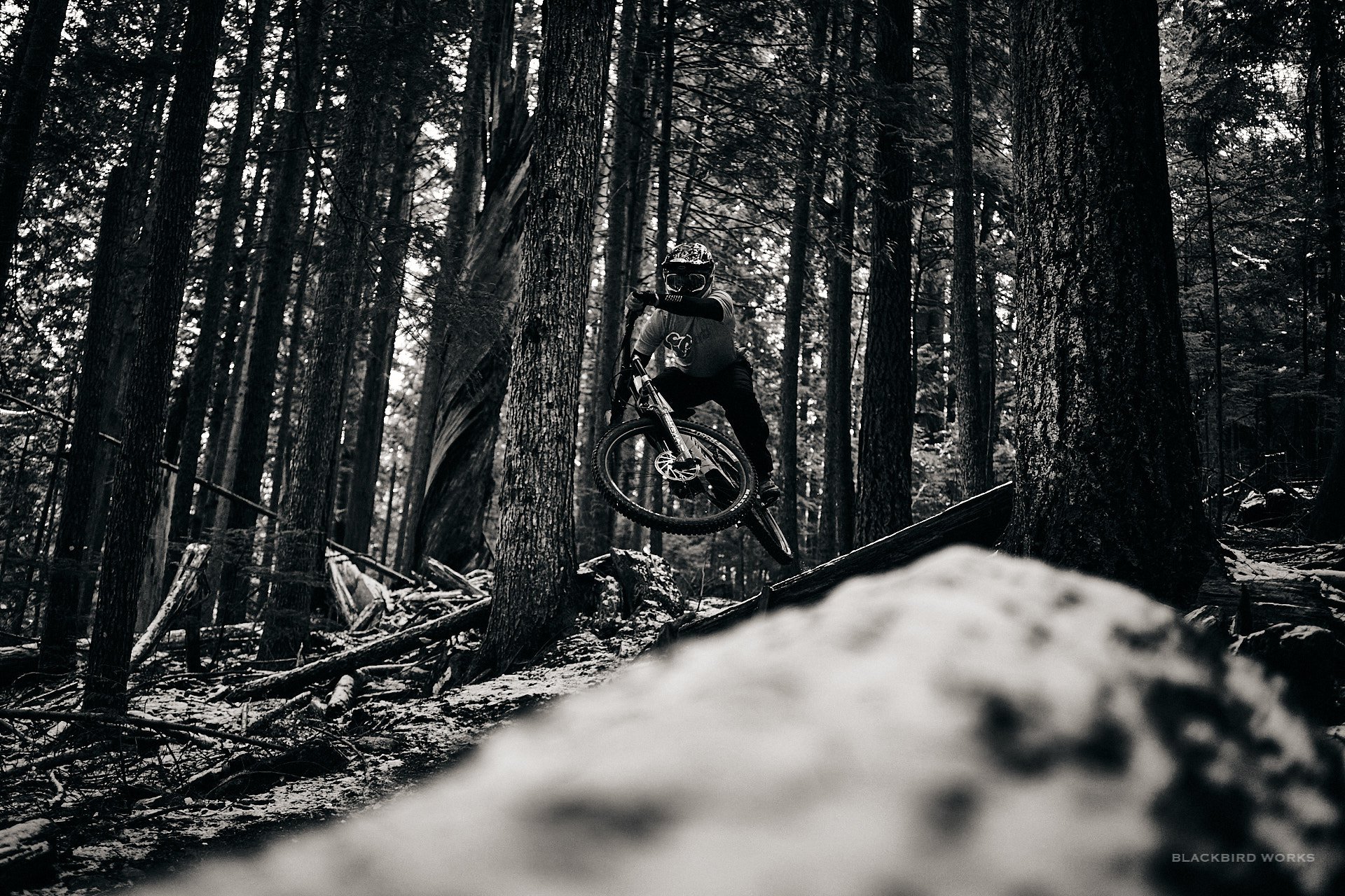 Canyon Sender CFR Ridden and Reviewed