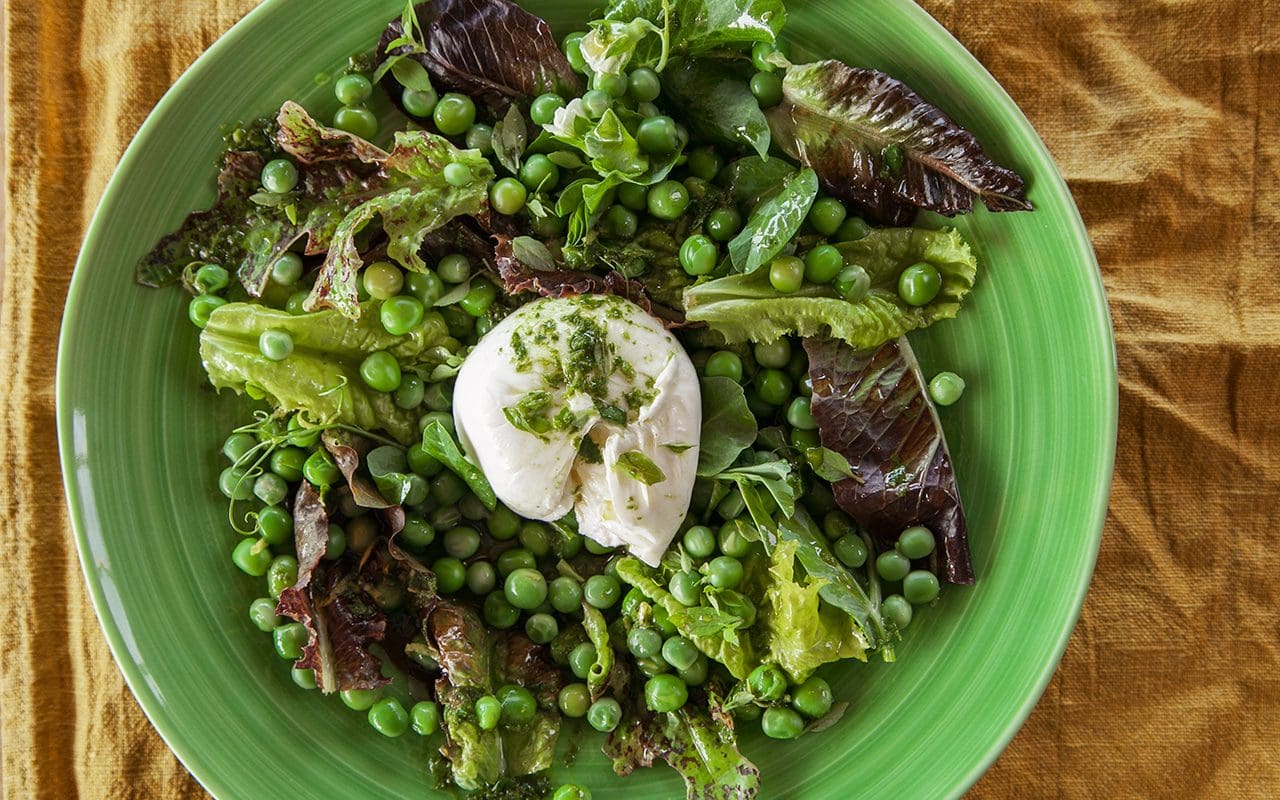 Peas, Leaves, Burrata & Basil Delve