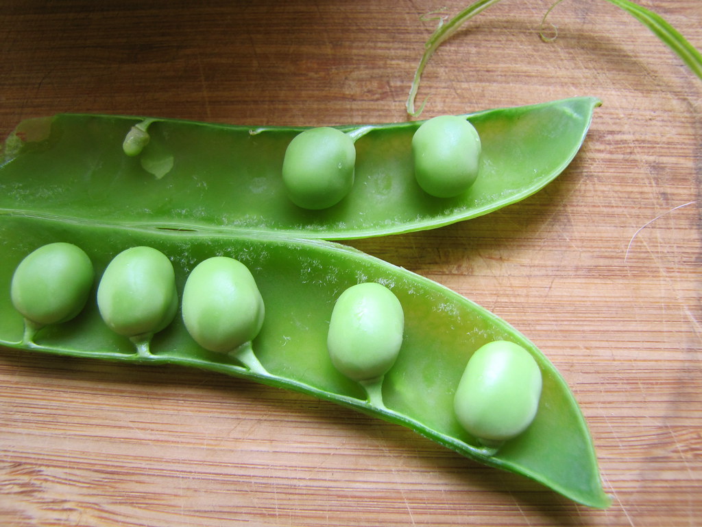 Fresh Peas and Carrot Puree with Dill