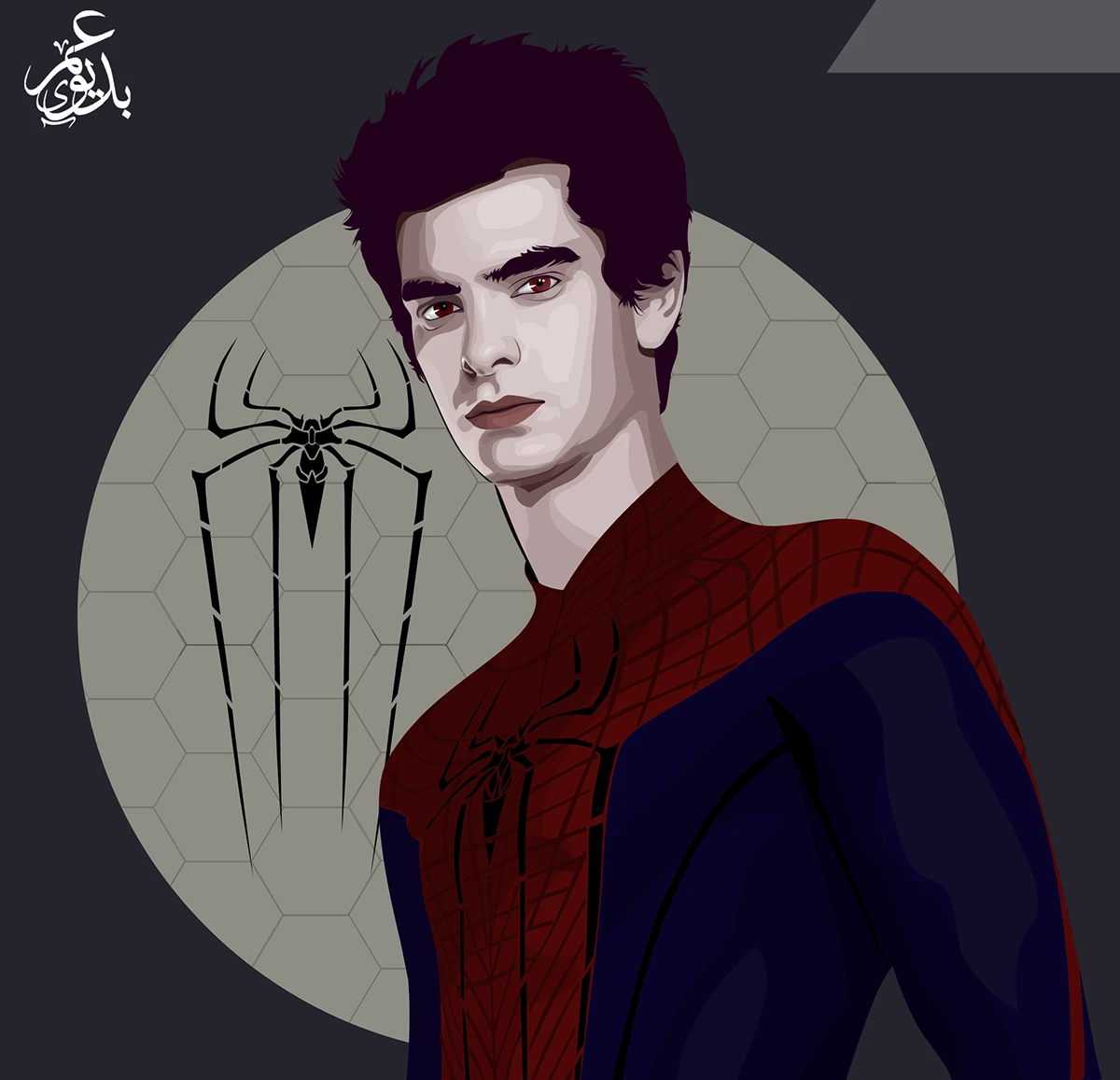SPIDER MAN Vector Art - Behance