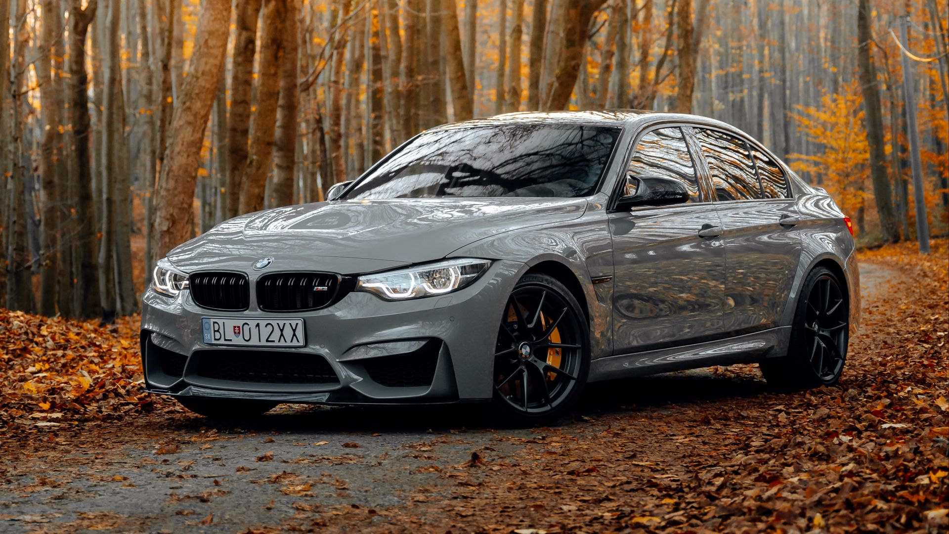 Download wallpaper 1920x1080 bmw m3, bmw, car, gray, side view, forest, autumn full hd, hdtv, fhd, 1080p HD background