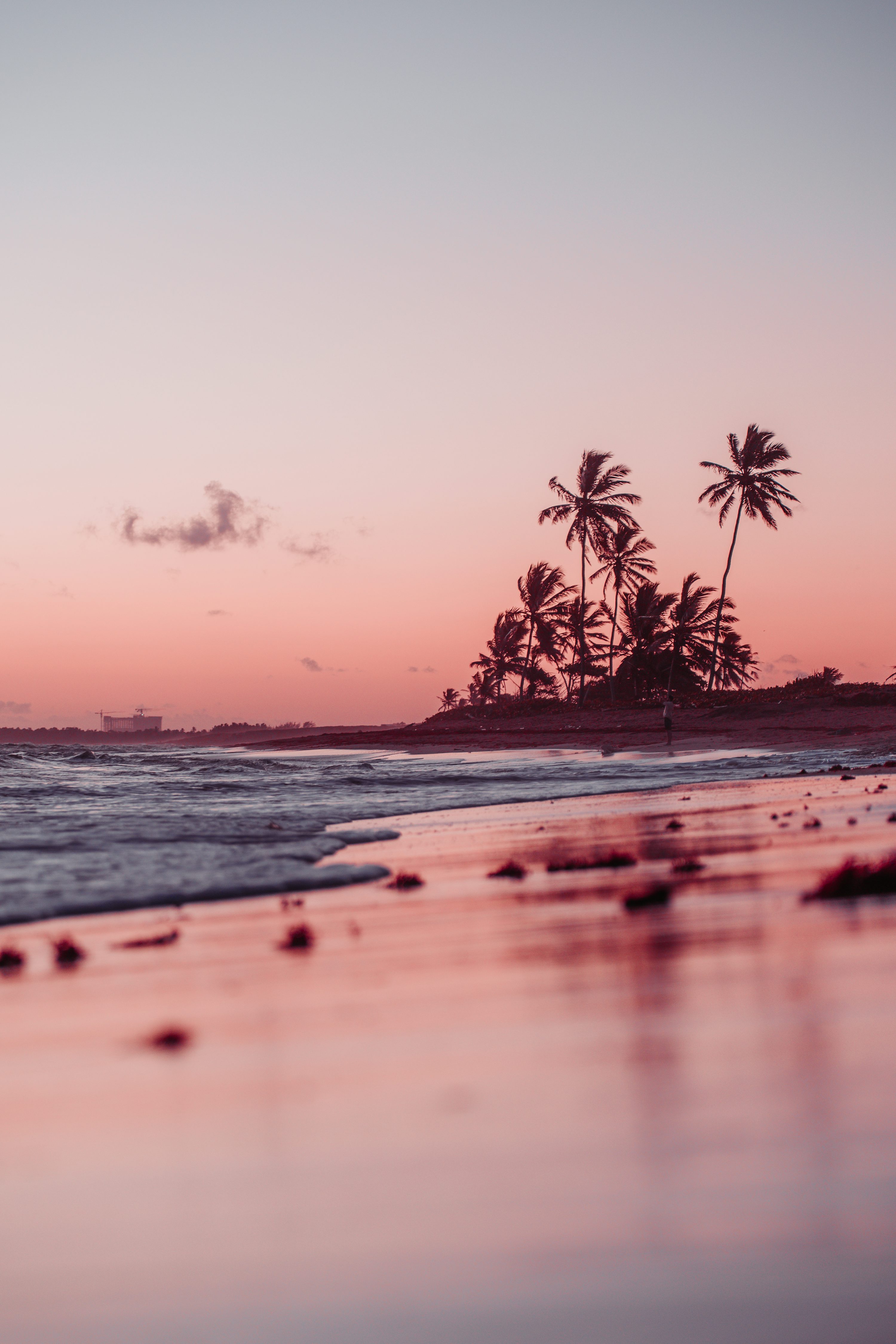 A beach at sunset with palm trees in the background photo