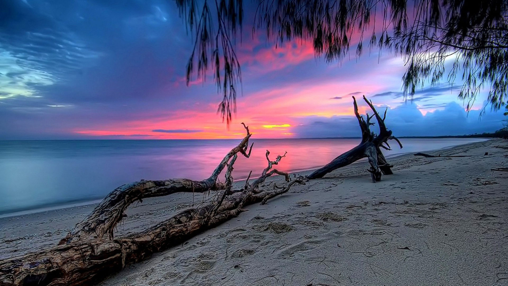 Pink sunset calm sea