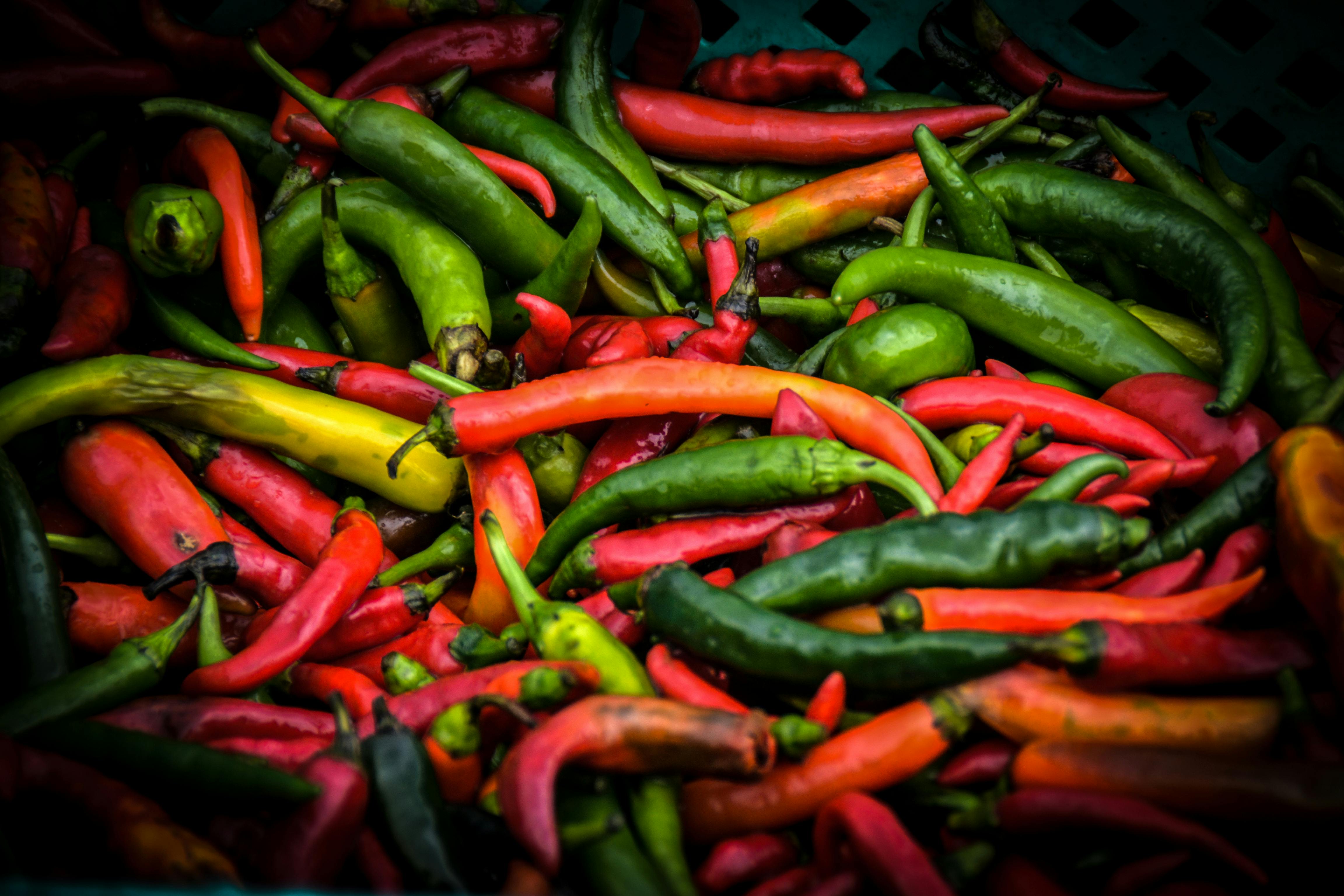 Chili Pepper Photo, Download The BEST Free Chili Pepper & HD Image
