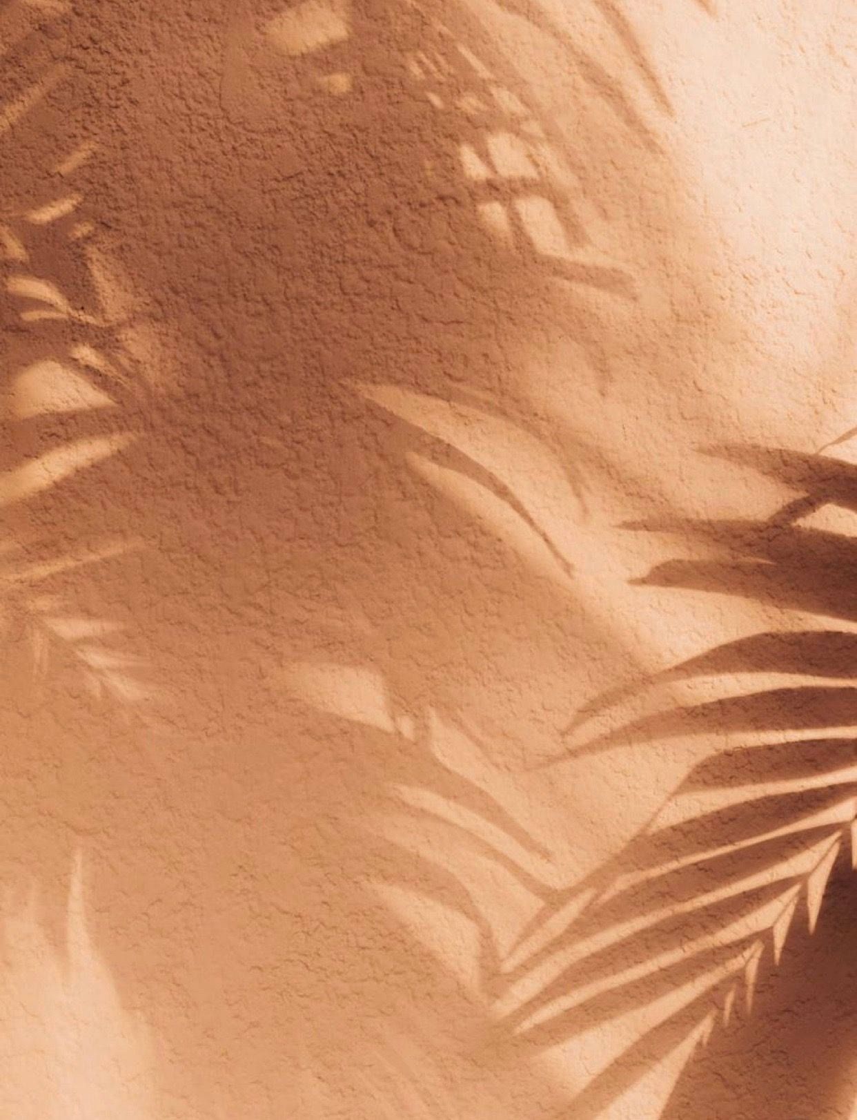 Download Shadow Leaves On Tan Aesthetic Wallpaper