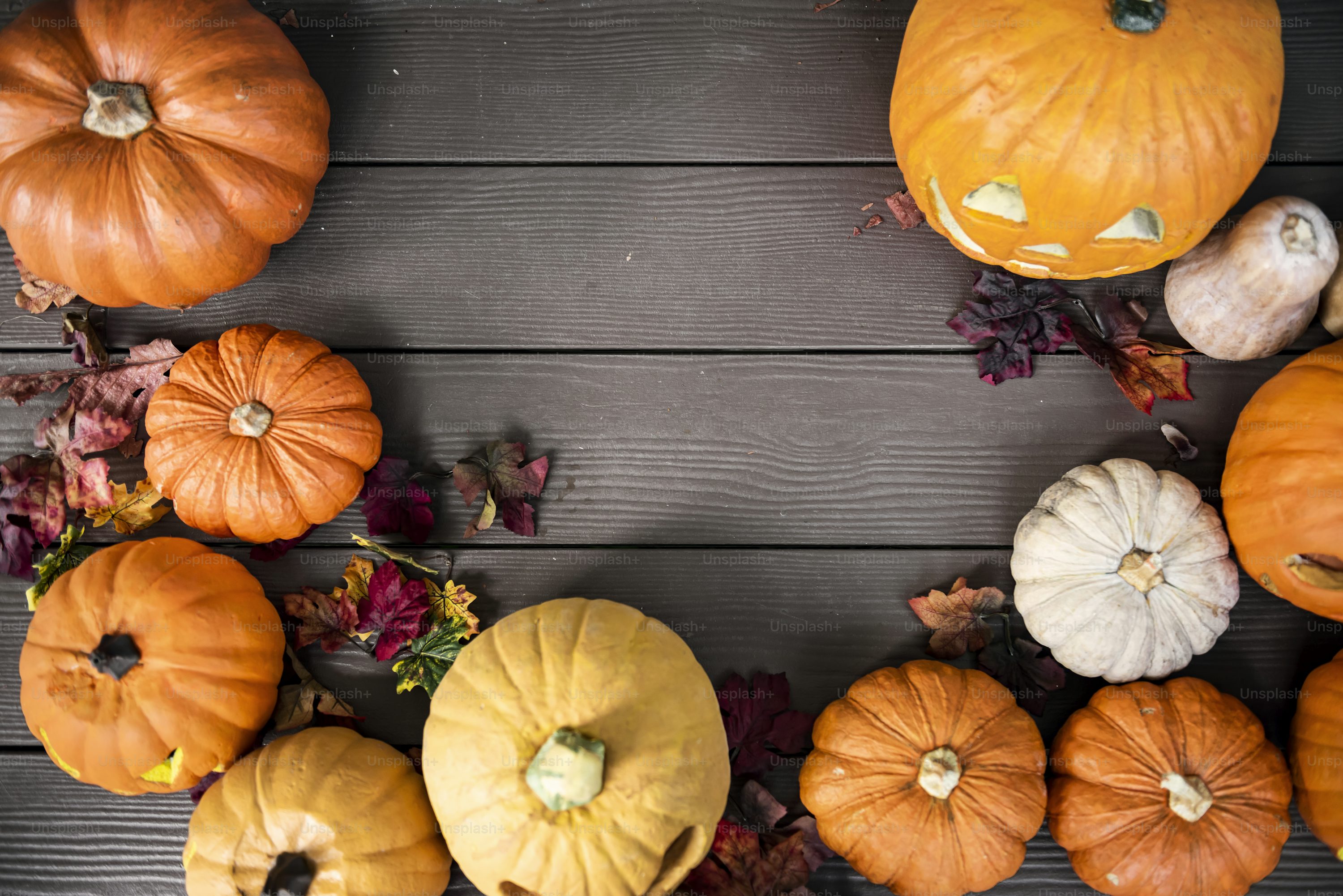 Halloween pumpkins on wooden background photo