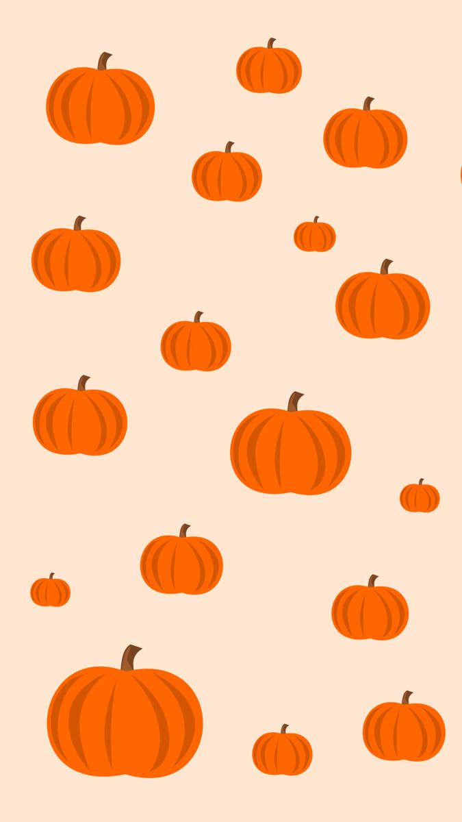 Fall pumpkin phone background