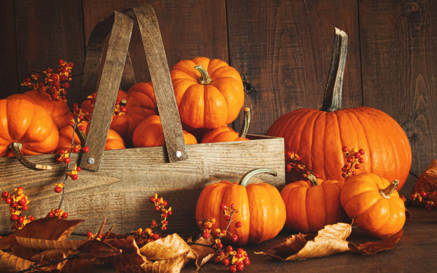 Fall Pumpkin Background