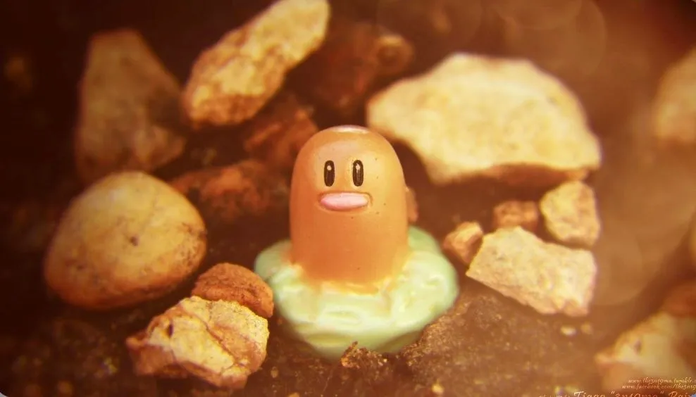 Support My Diglett Habit · Whatnot: Shop, Sell, Connect