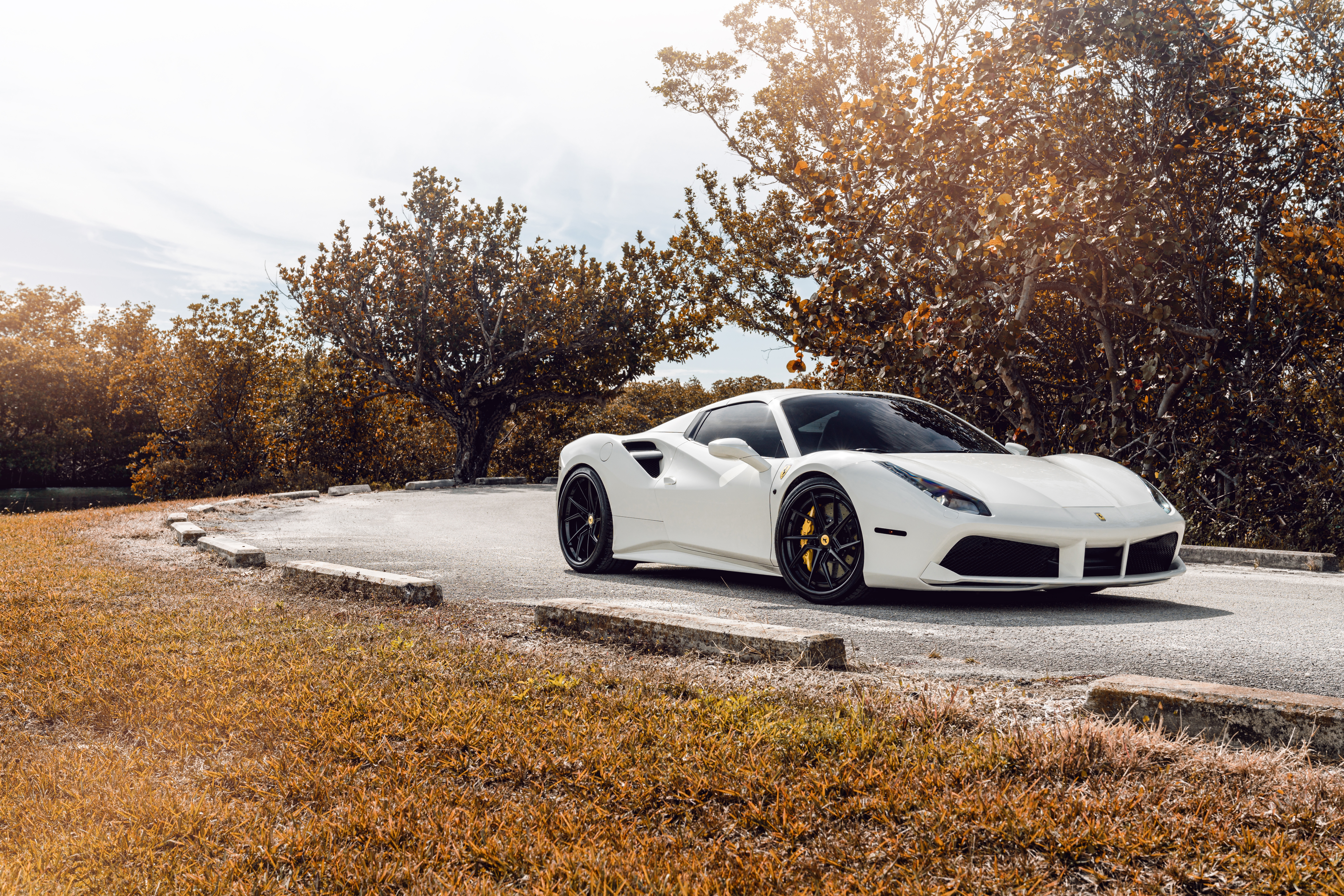 White Ferrari 488 8k Wallpaper, HD Cars Wallpaper, 4k Wallpaper, Image, Background, Photos and Picture