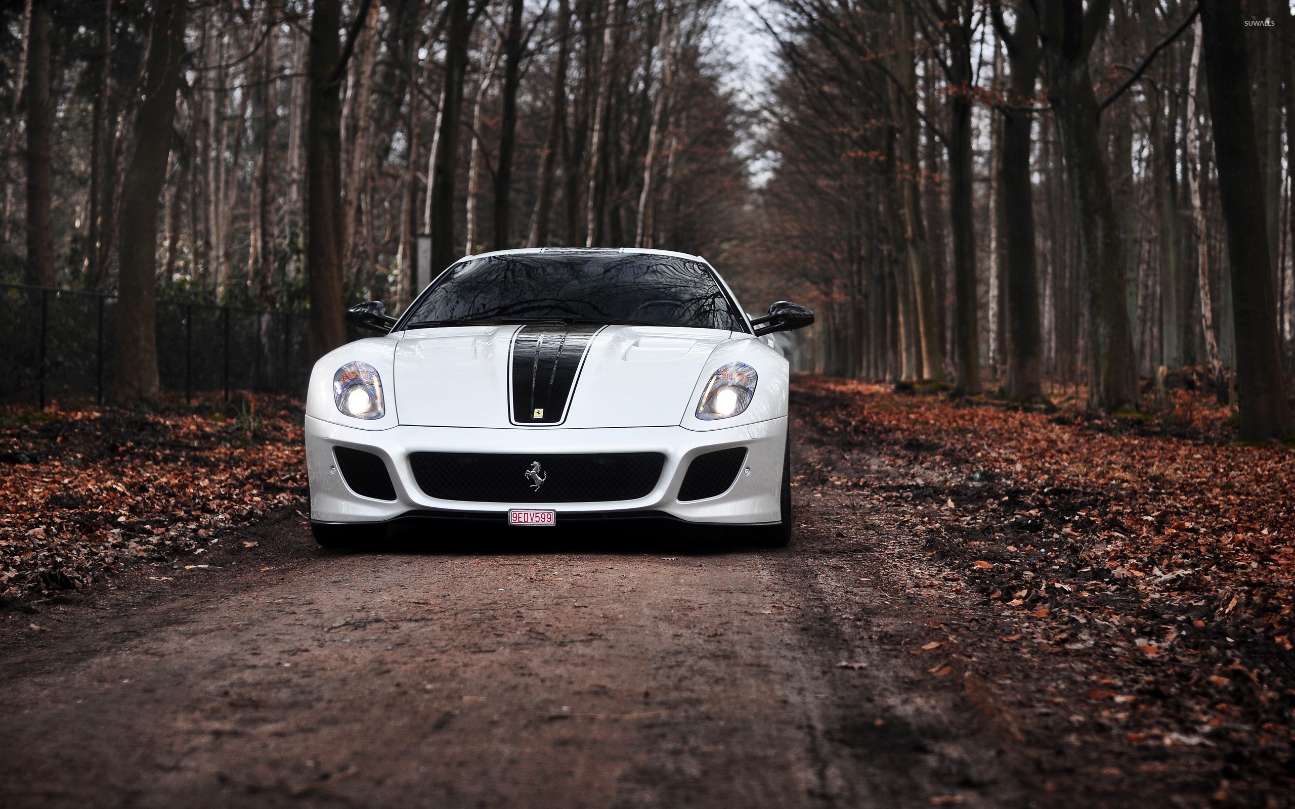 White Ferrari 599 GTOest wallpaper wallpaper