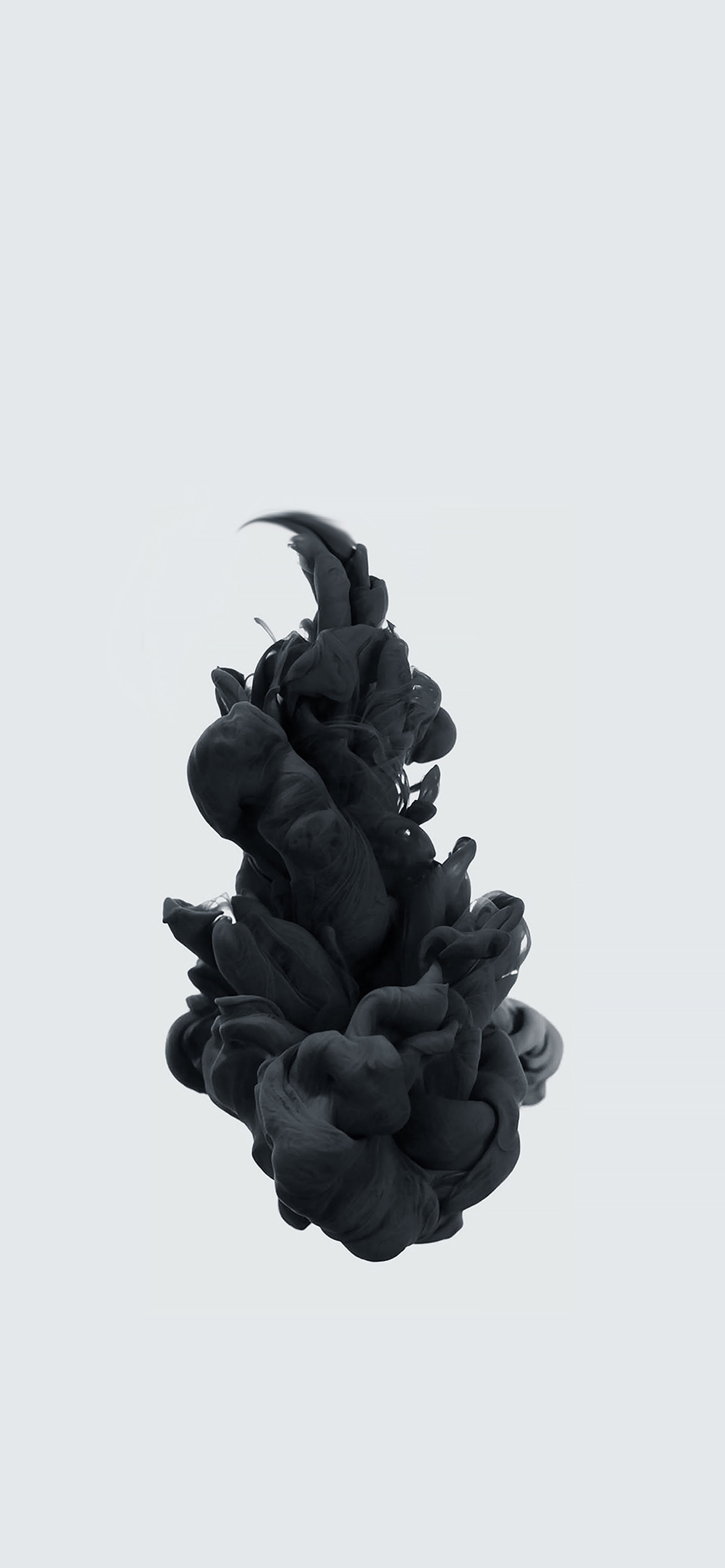 Ink Black