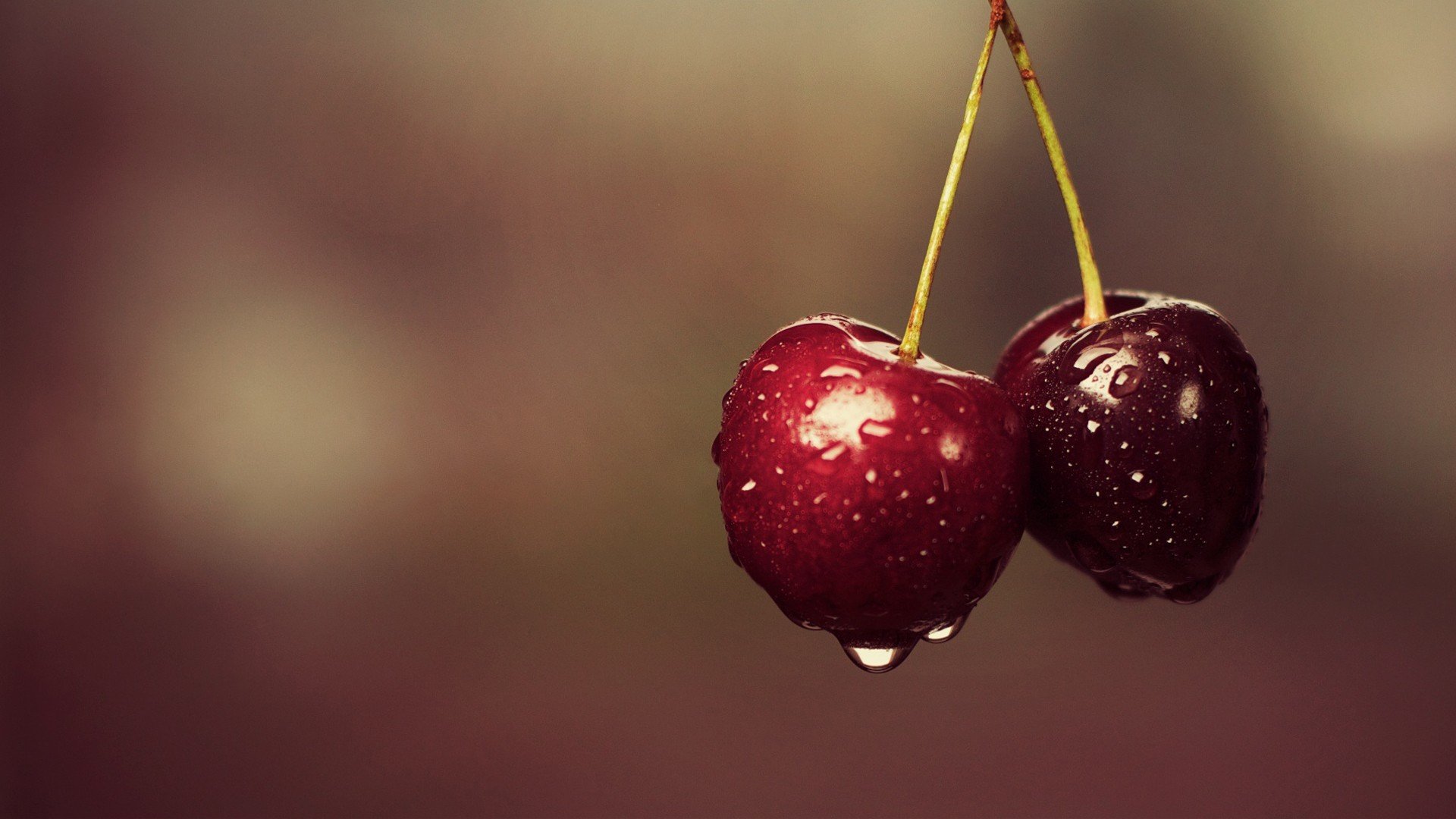 macro, Cherries, Water drops HD Wallpaper / Desktop and Mobile Image & Photo