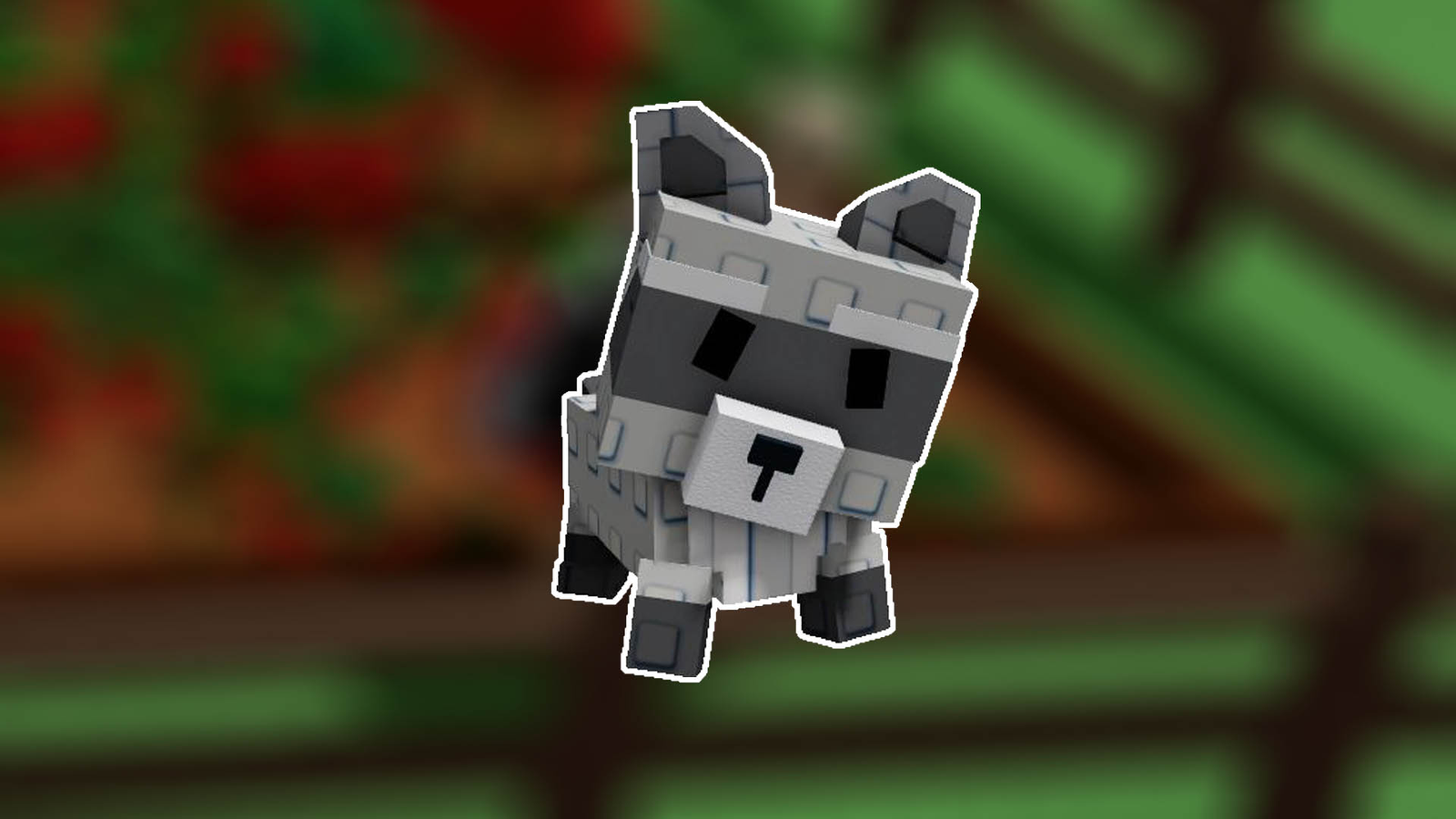 How to get the Raccoon in Grow a Garden