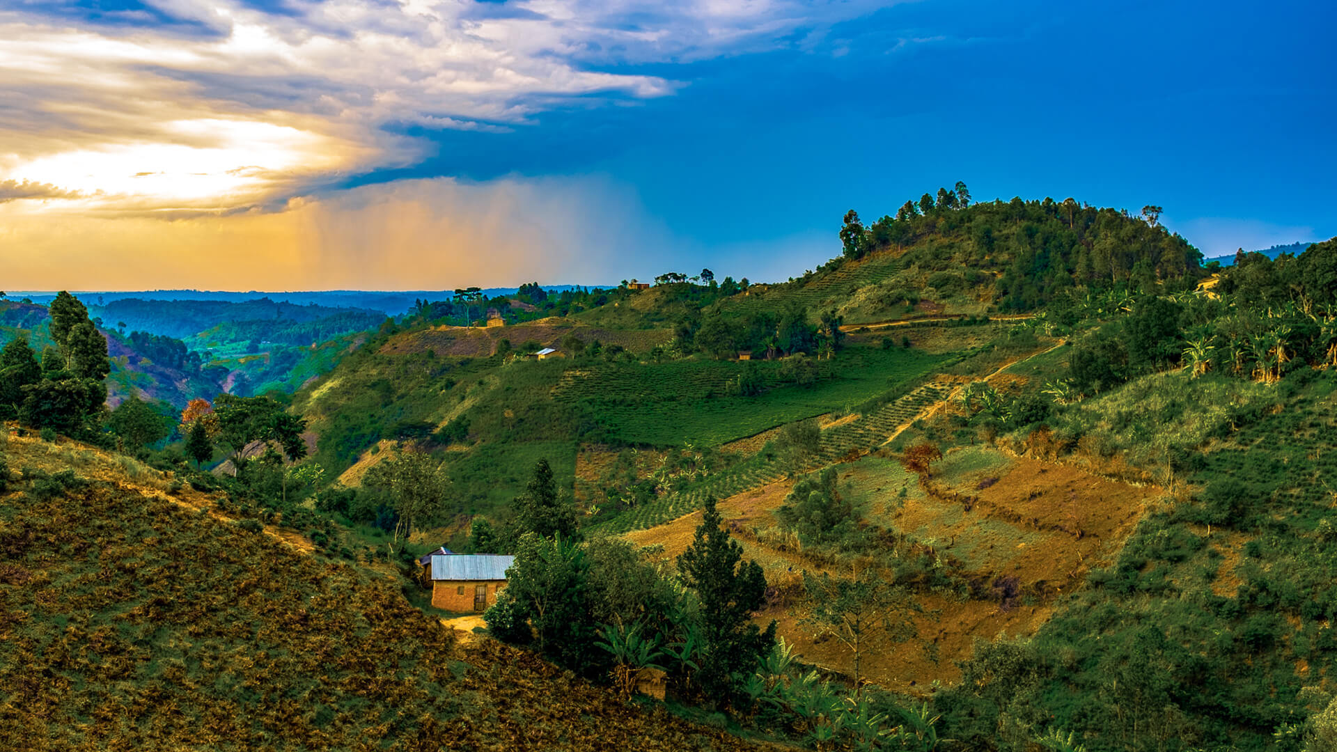 The Top Places to Visit in Uganda