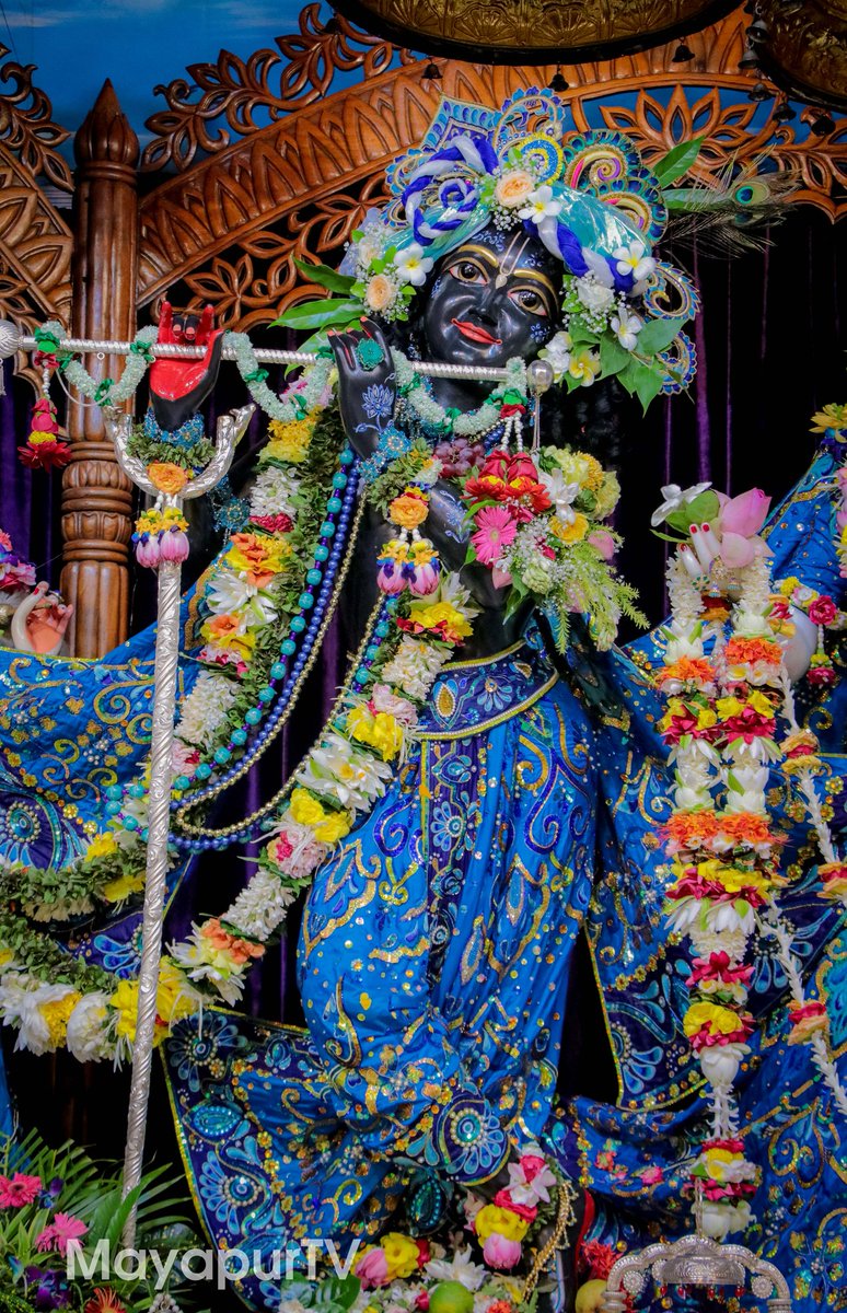 Gauranga Das the temple of the heart, Lord Krishna's name is the sacred flame of devotion. Deity Mayapur #krishna #krishnalove #krishnaconsciousness #harekrishna #radheradhe #gaurangadas #monkforaction