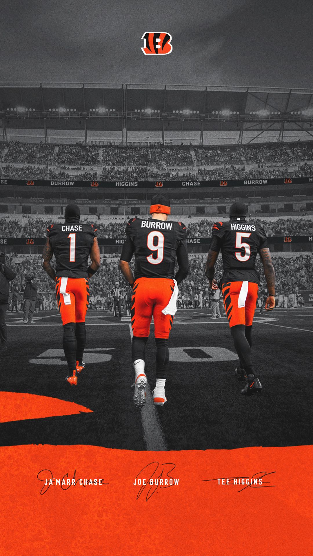 Bengals Wallpaper