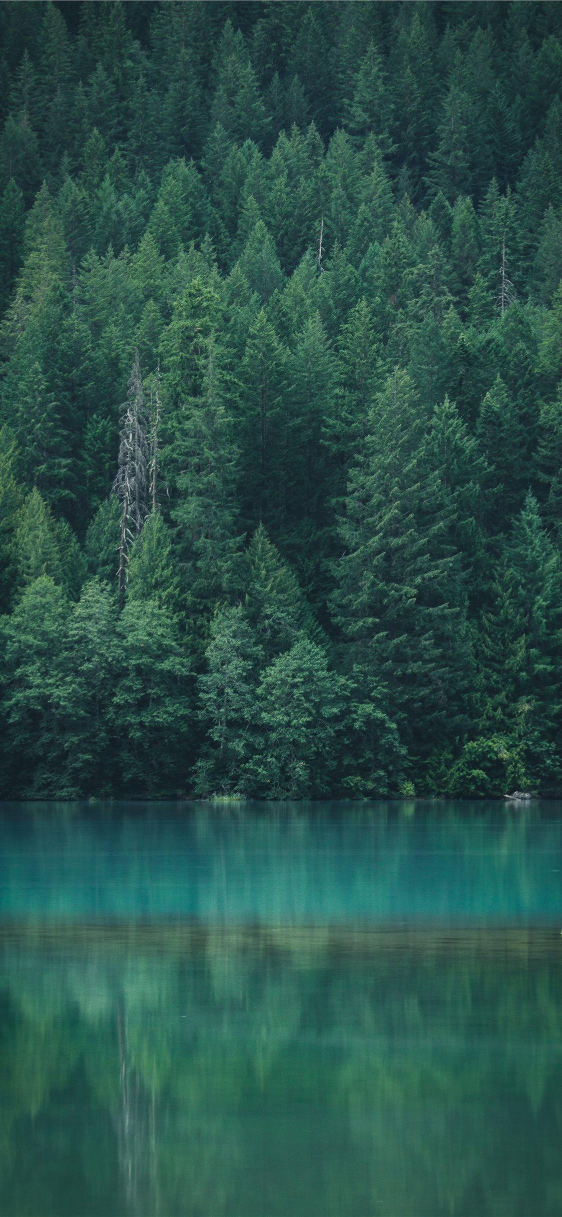 iPhone 11 Nature Wallpaper, HD iPhone 11 Nature Background on WallpaperBat
