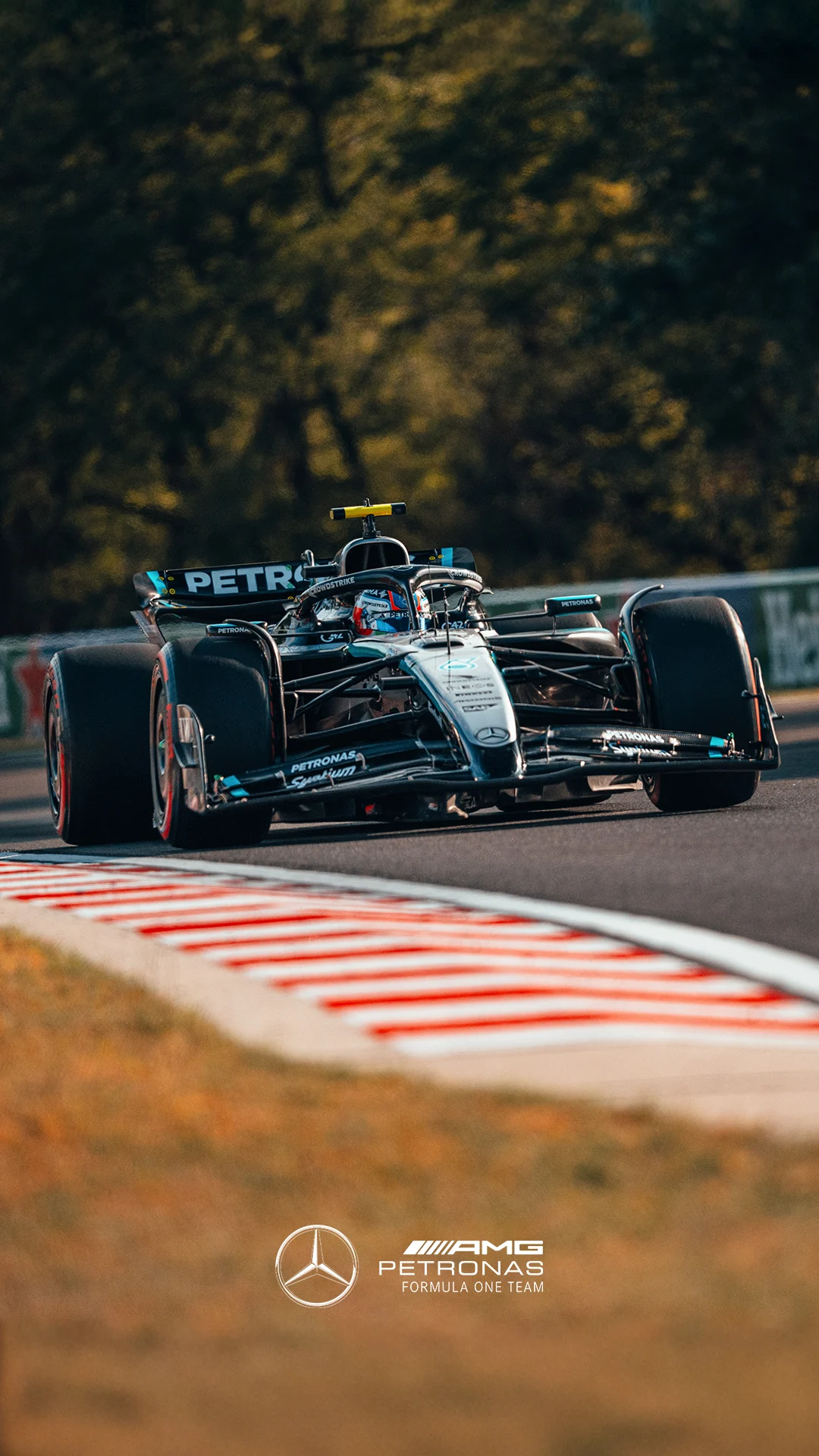 Wallpaper AMG PETRONAS F1 Team