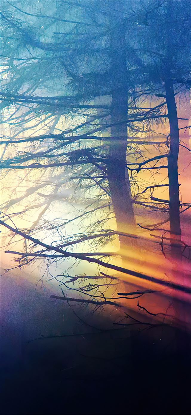Latest Nature iPhone 11 HD Wallpaper