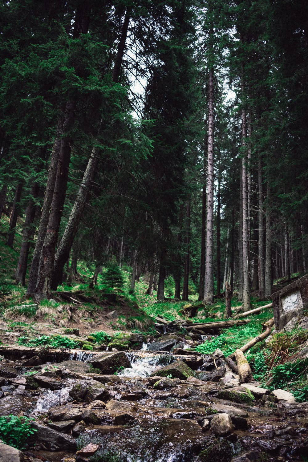 Download Majestic Scenery with iPhone 11 Pro 4K Wallpaper