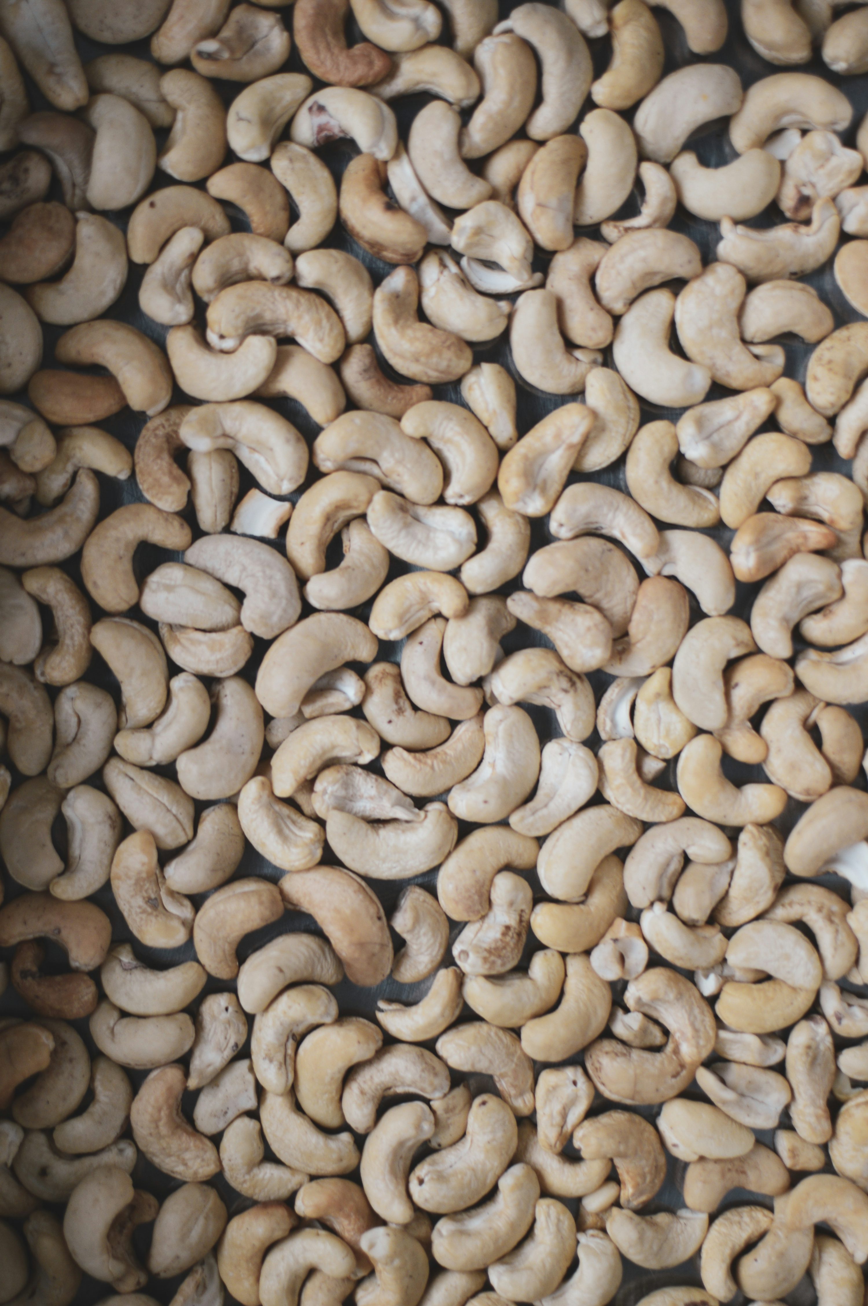 Cashew nuts photo