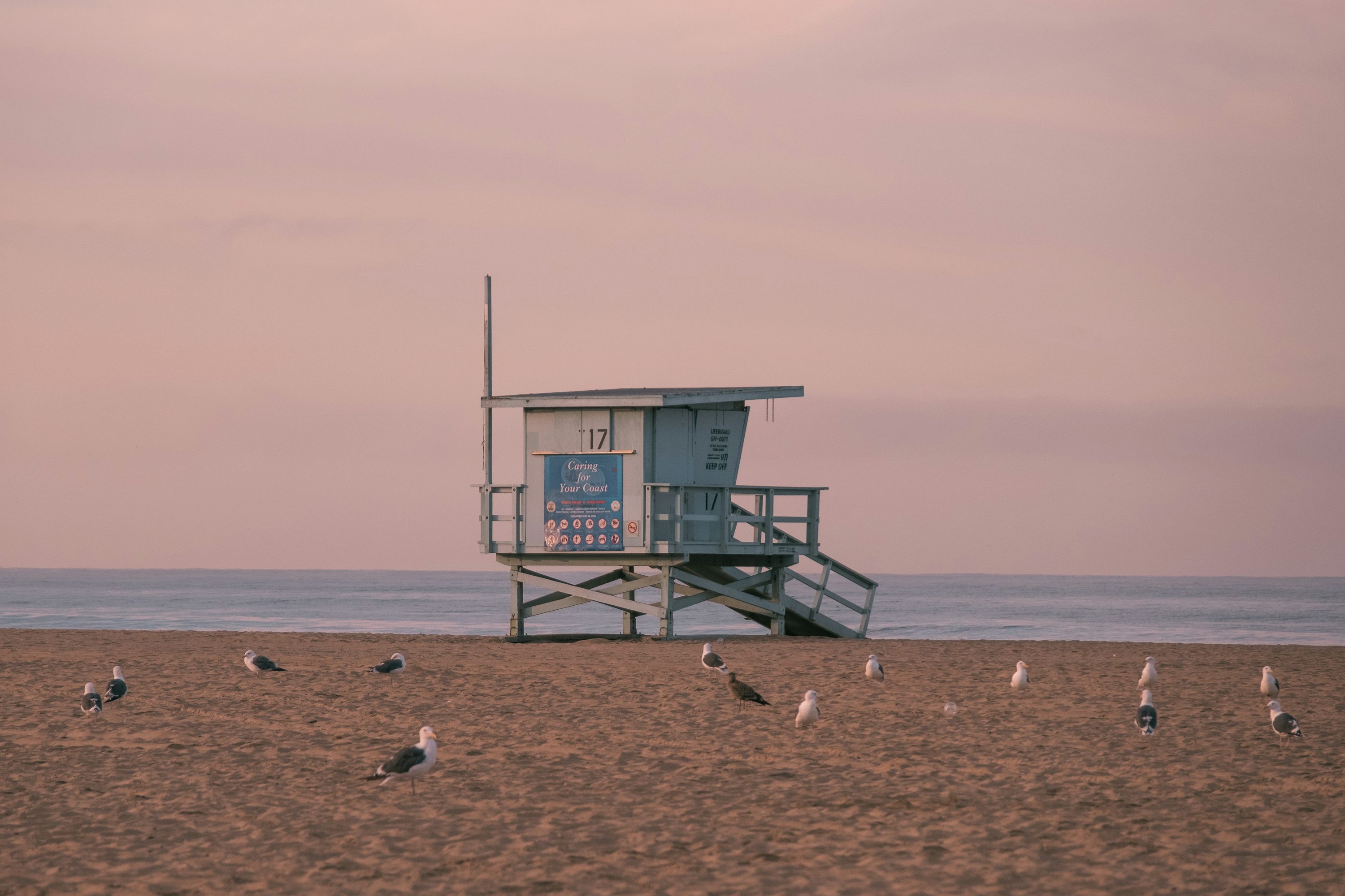 A lifeguard tower on a beach with seagulls photo